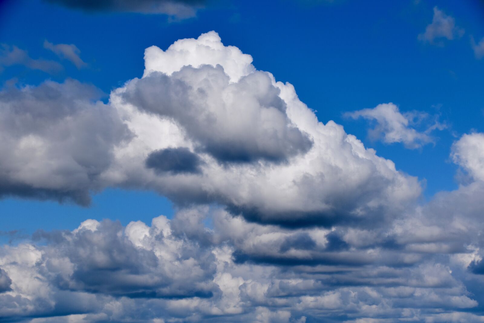 Nikon D5600 sample photo. Sky, clouds grey and photography