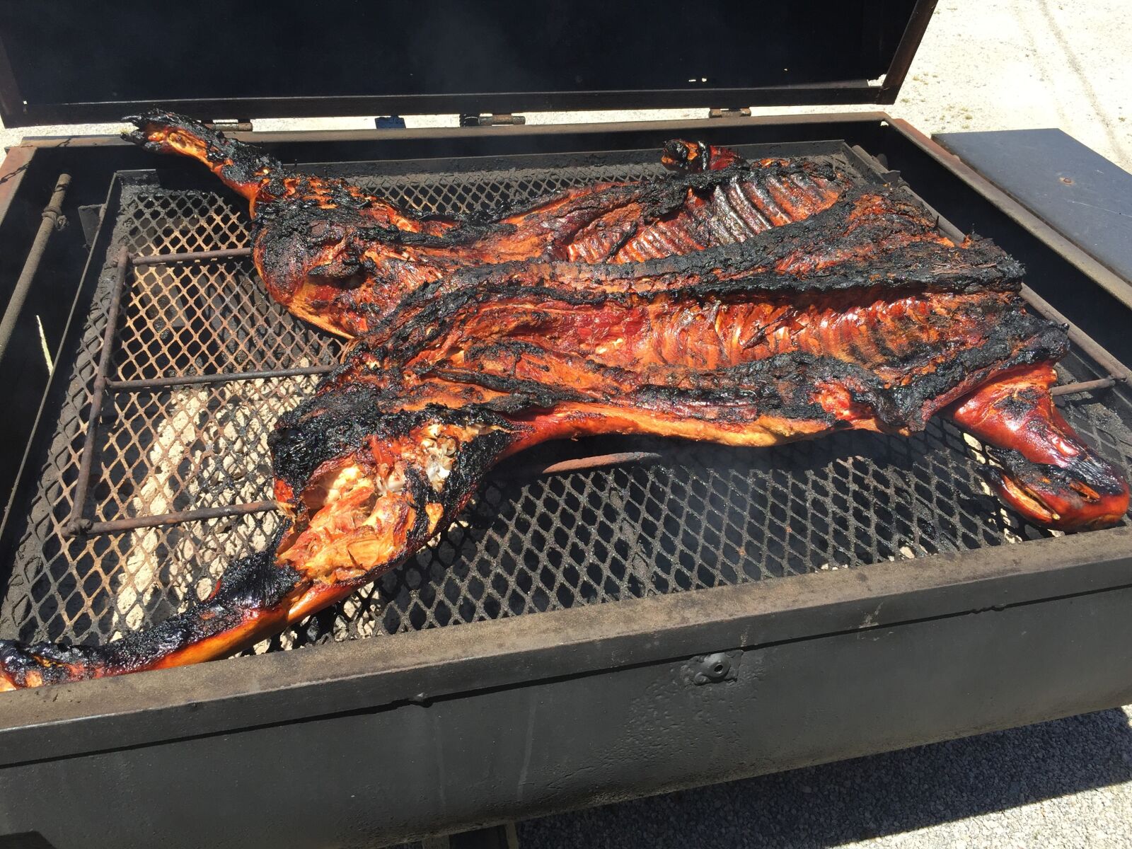 iPhone 6 Plus back camera 4.15mm f/2.2 sample photo. Pig, bbq, pork photography