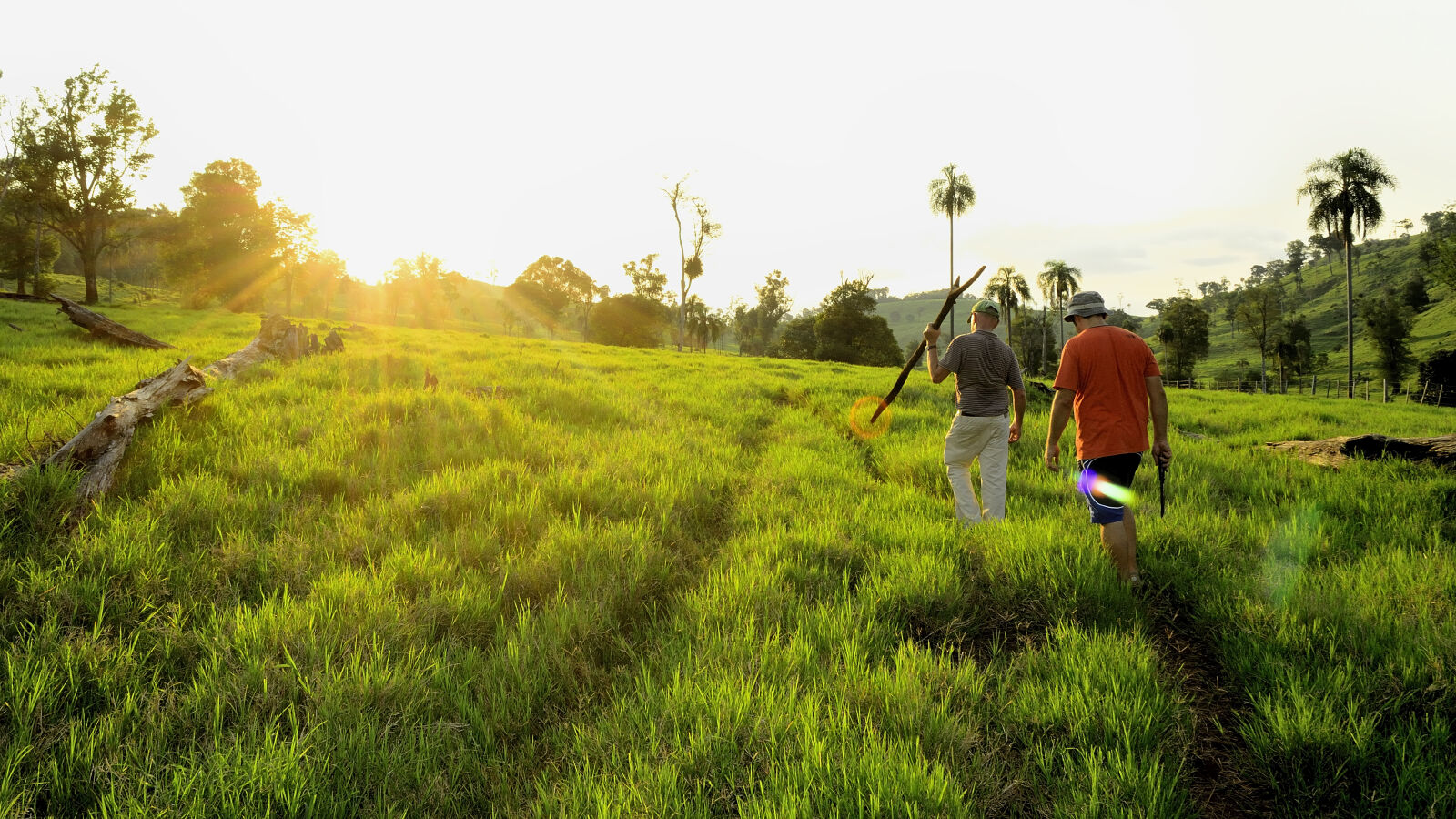 Nikon D5100 sample photo. Man, walking, green, field photography