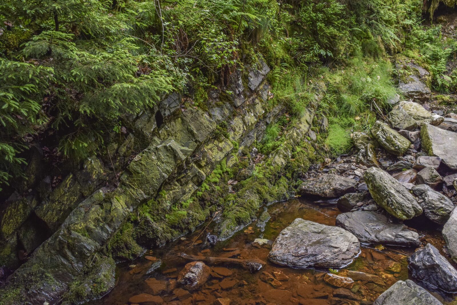 Nikon D3300 sample photo. River, water, nature photography