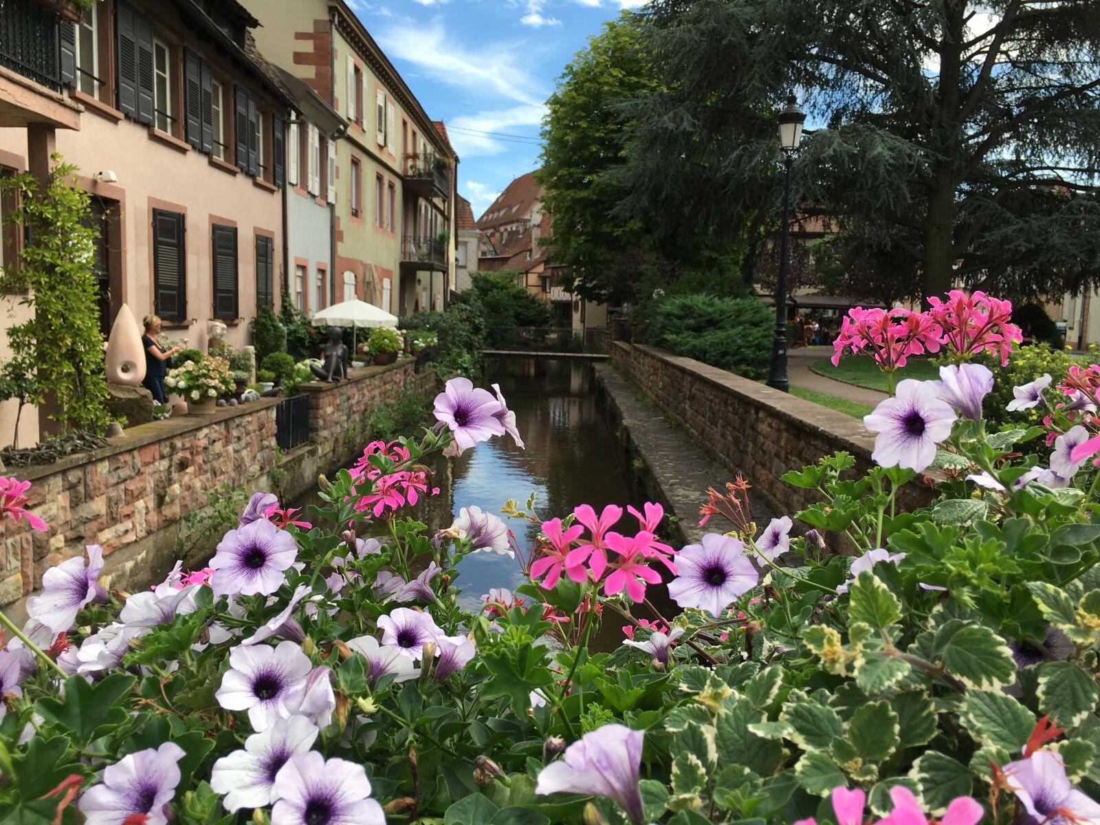 Apple iPhone 6s sample photo. City, bach, flowers photography