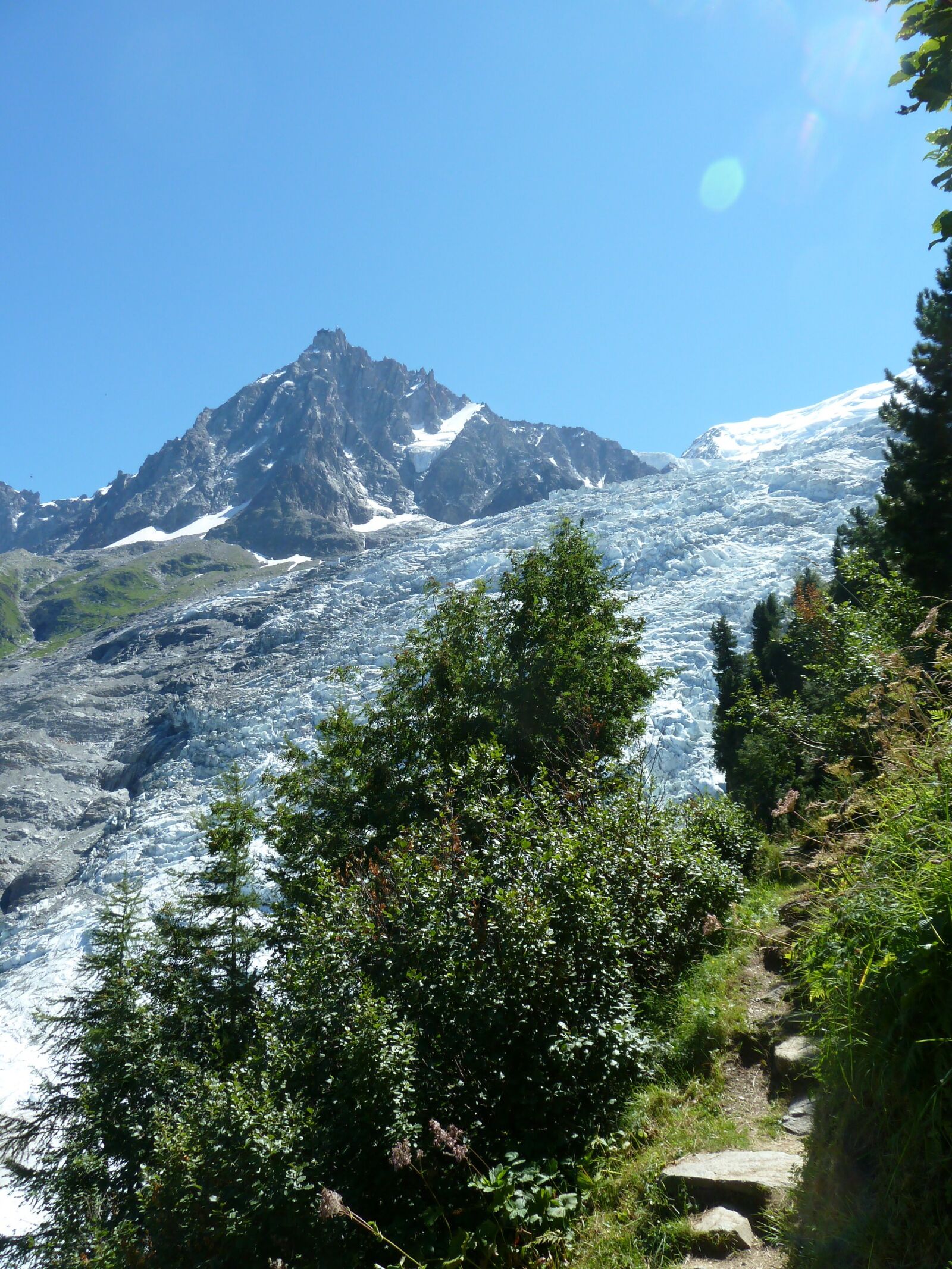 Panasonic Lumix DMC-ZS7 (Lumix DMC-TZ10) sample photo. Glacier, contrast, vegetation photography