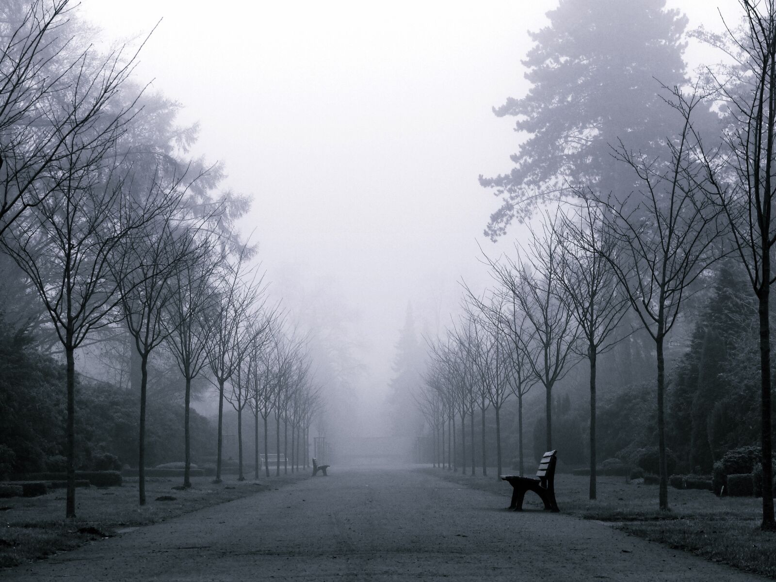 Panasonic Lumix DMC-FZ200 sample photo. Fog, weather, mood photography