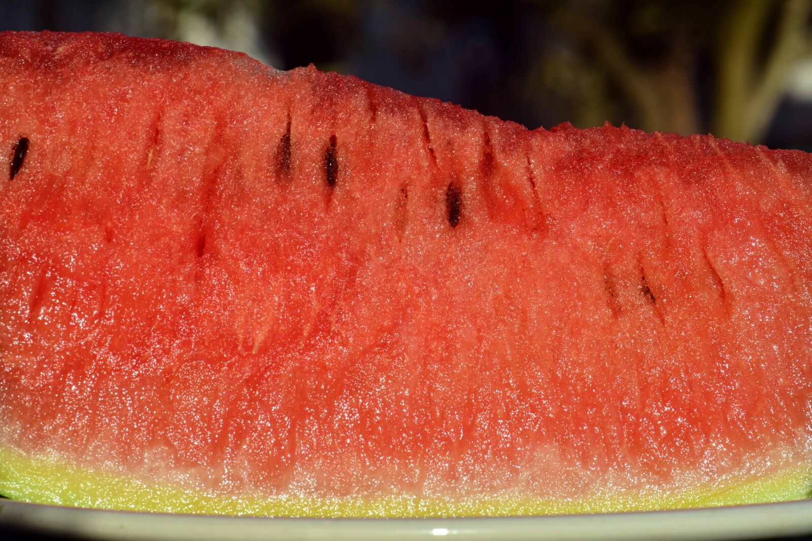Nikon D3300 sample photo. Food, red, fruit, slice photography