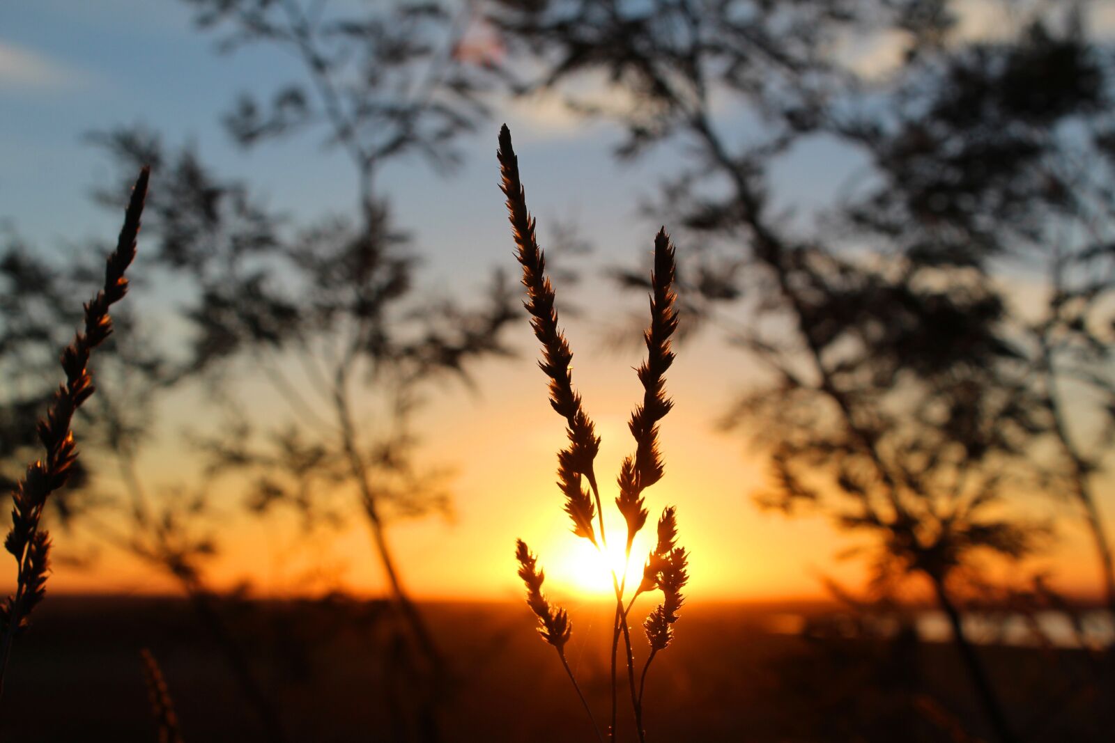 Canon EOS 1200D (EOS Rebel T5 / EOS Kiss X70 / EOS Hi) sample photo. Sun, sunset, dusk photography
