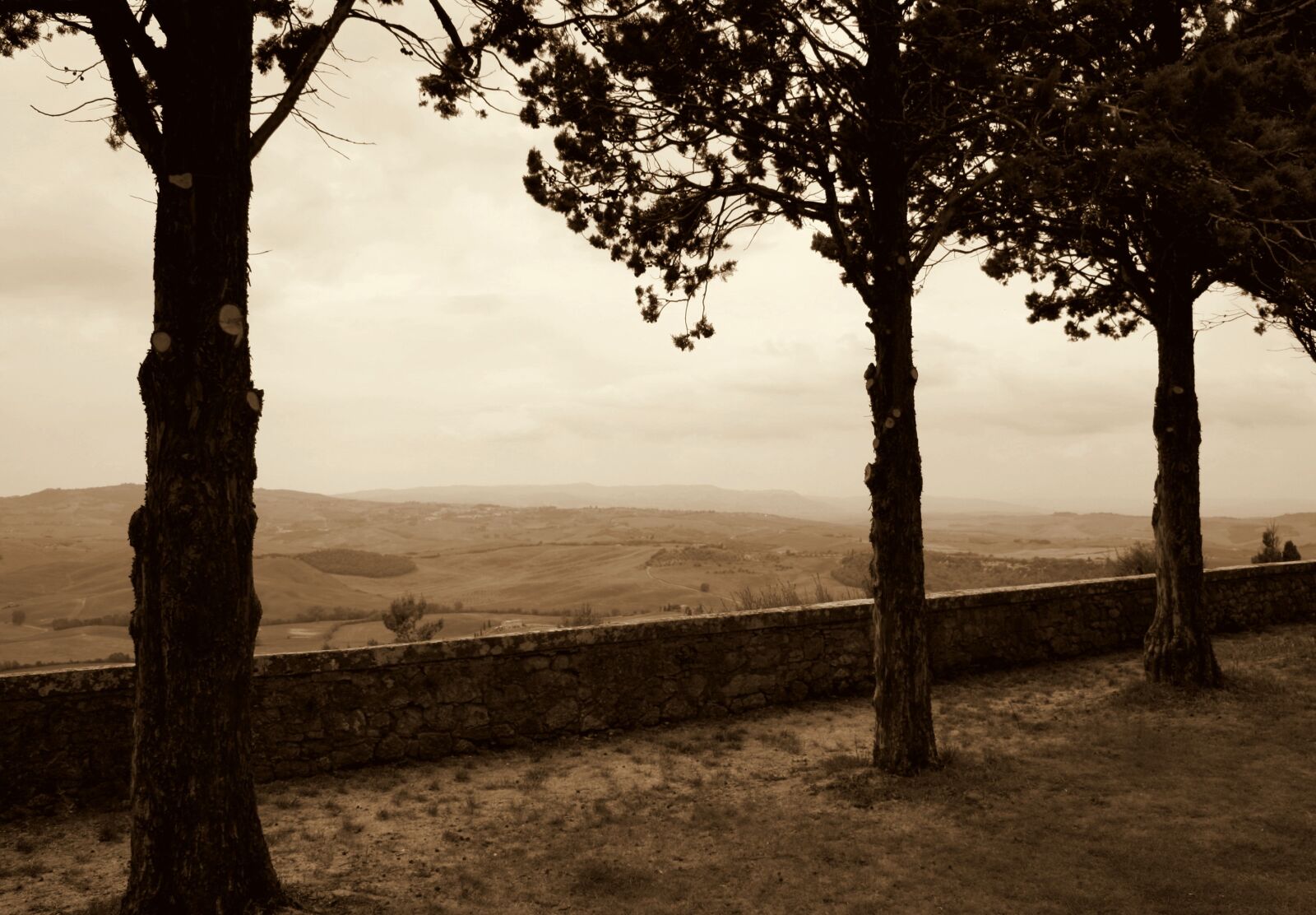 Canon EOS 450D (EOS Rebel XSi / EOS Kiss X2) sample photo. Tuscany, vacations, italy photography