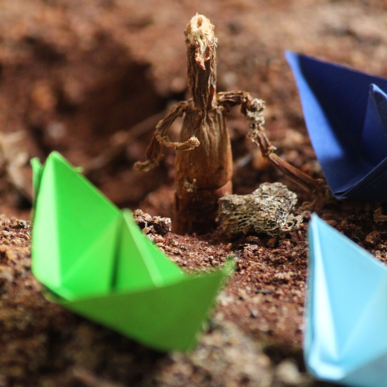 Canon EOS 700D (EOS Rebel T5i / EOS Kiss X7i) sample photo. B4bharani, hope, origami, summer photography