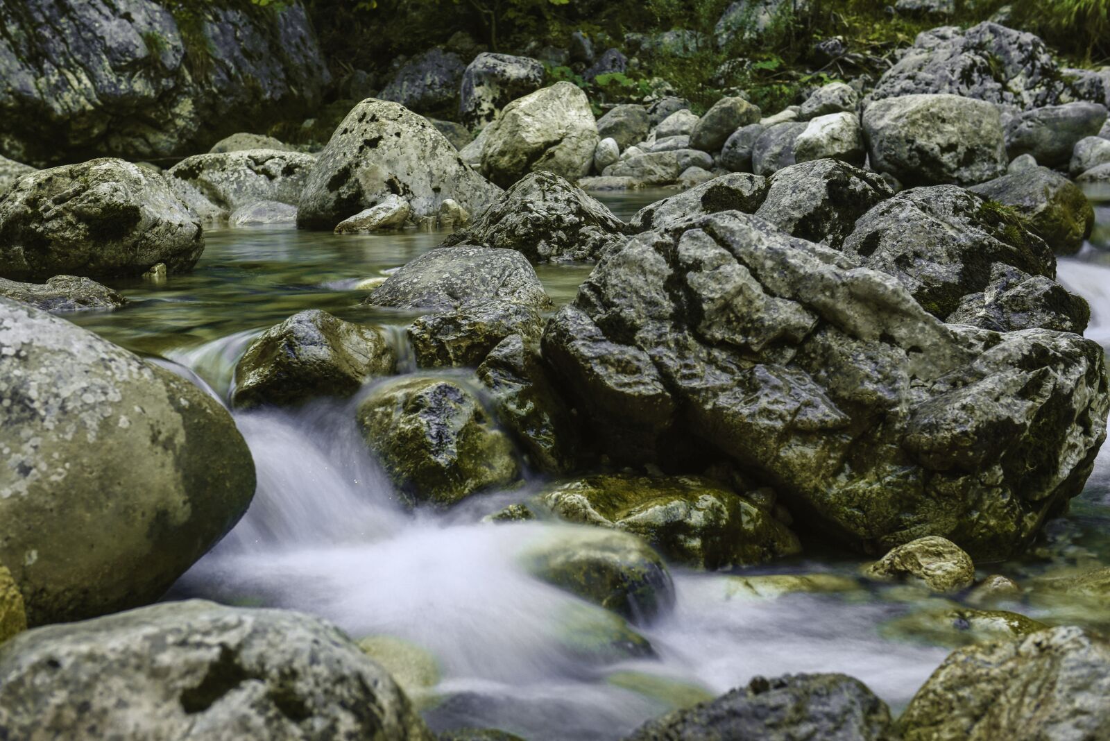 Nikon D750 sample photo. Water, inject, forest photography