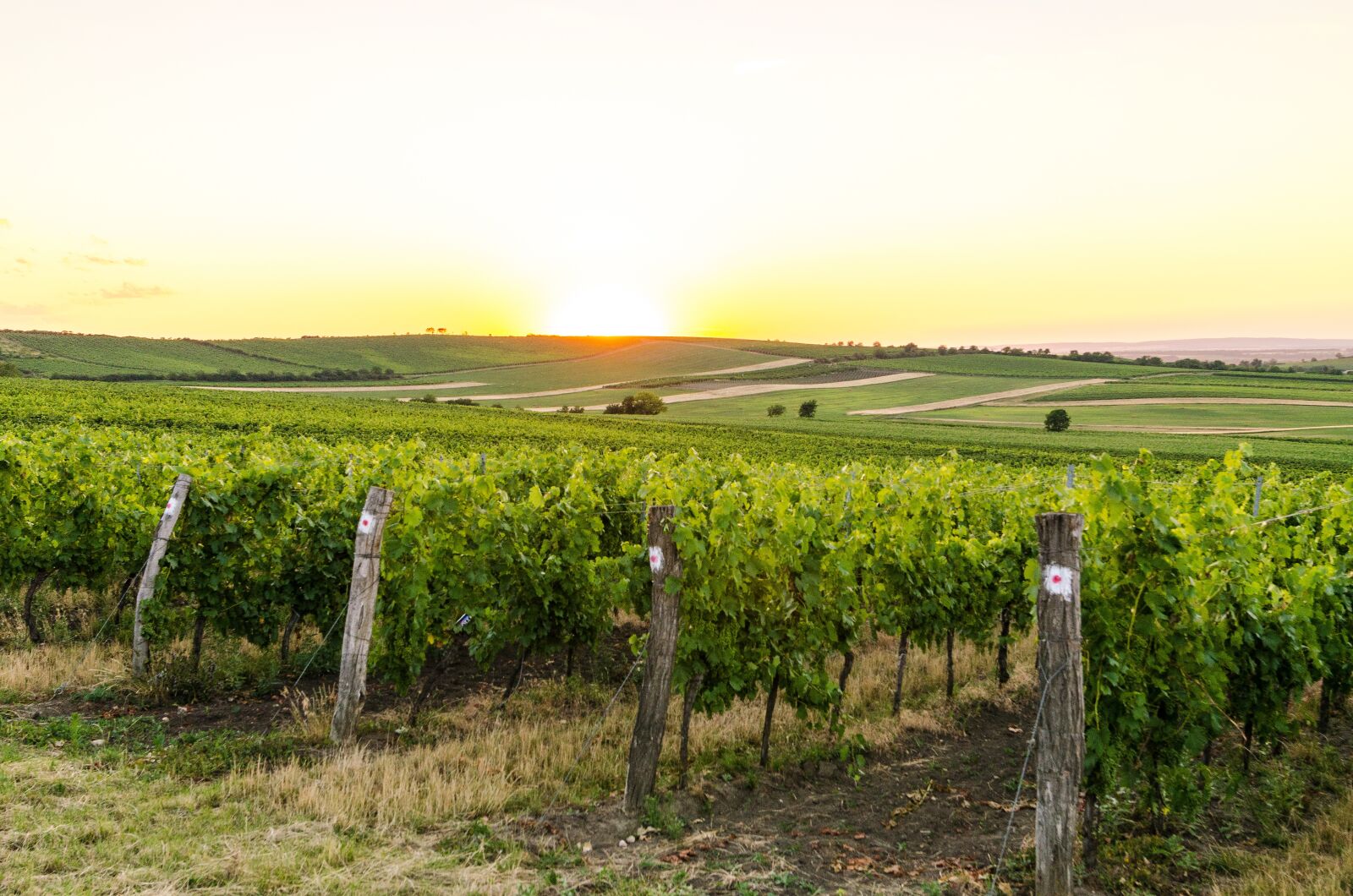 Nikon D5100 sample photo. Moravia, czech, landscape photography