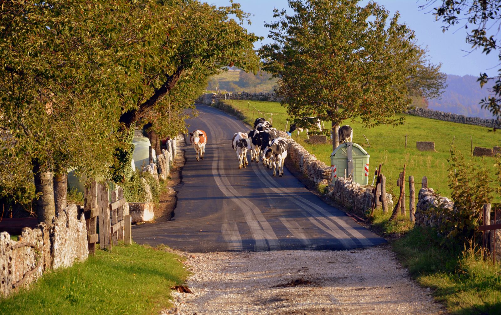 Nikon D7100 sample photo. Pasture, road, autumn photography