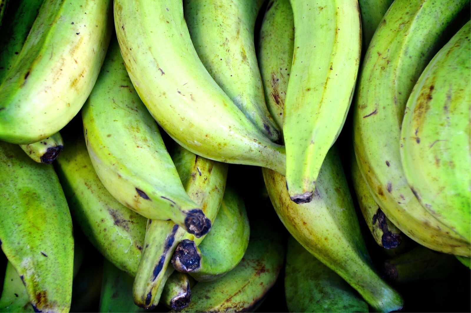 Nikon D3200 sample photo. Cooking bananas, bananas, green photography