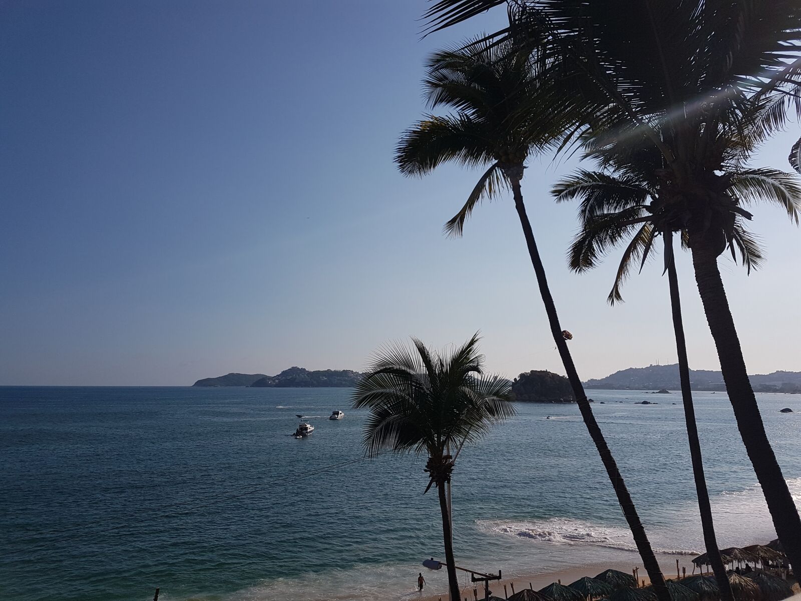 Samsung Galaxy S7 sample photo. Palms, blue, sea photography