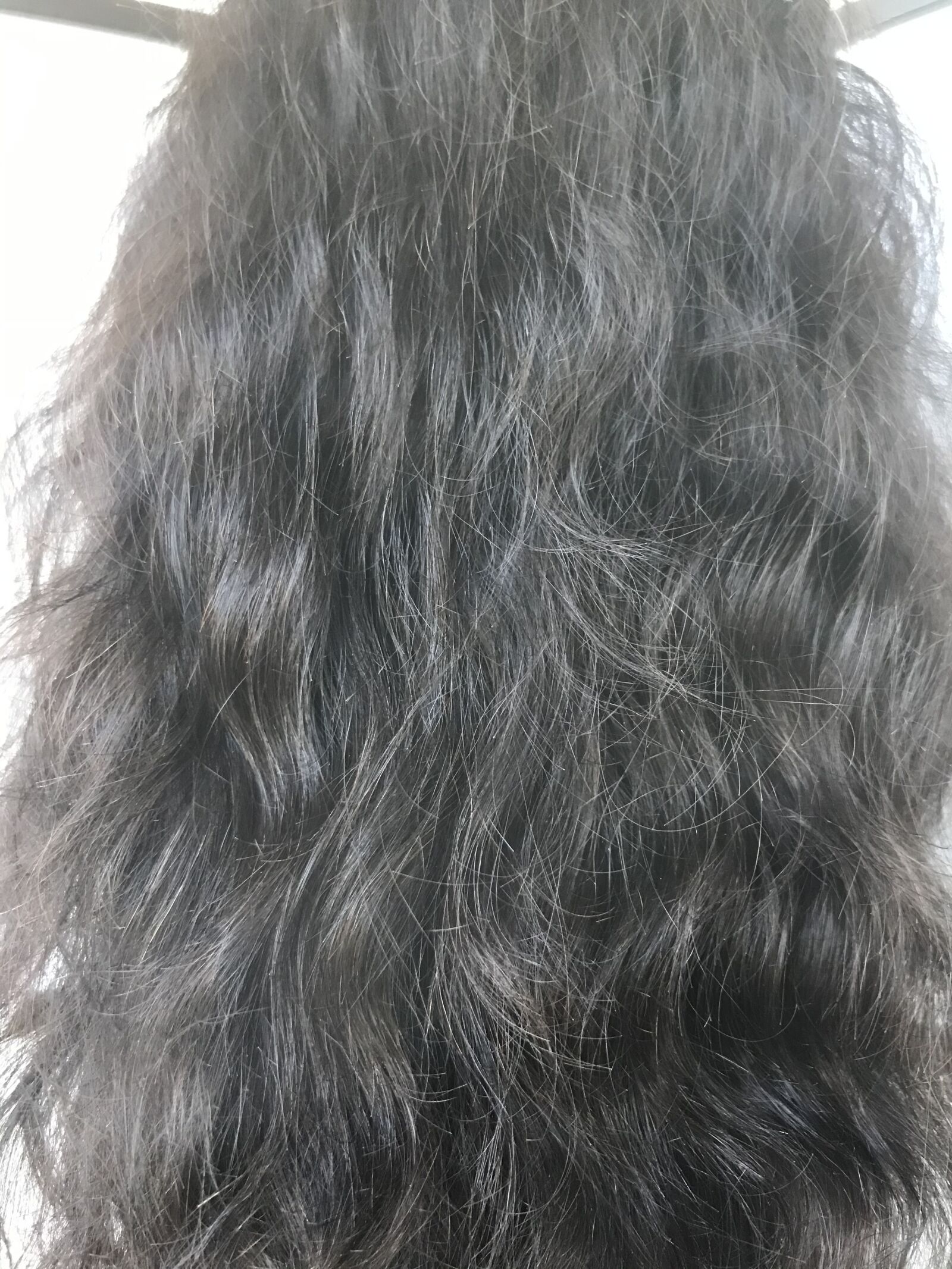 iPhone 7 back camera 3.99mm f/1.8 sample photo. Wig, curls, hair photography