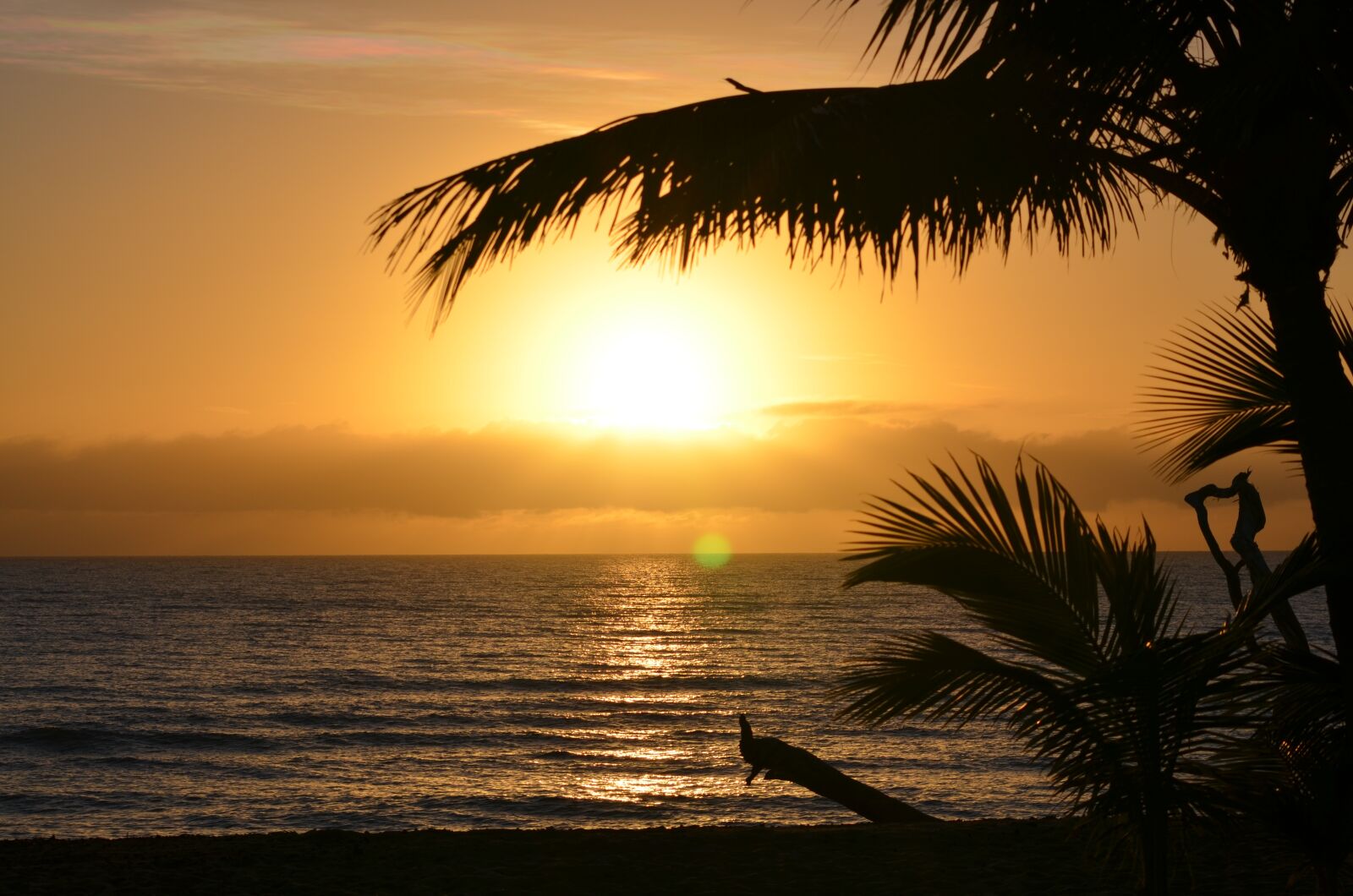 Nikon D5100 sample photo. Australia, sunset, romantic photography