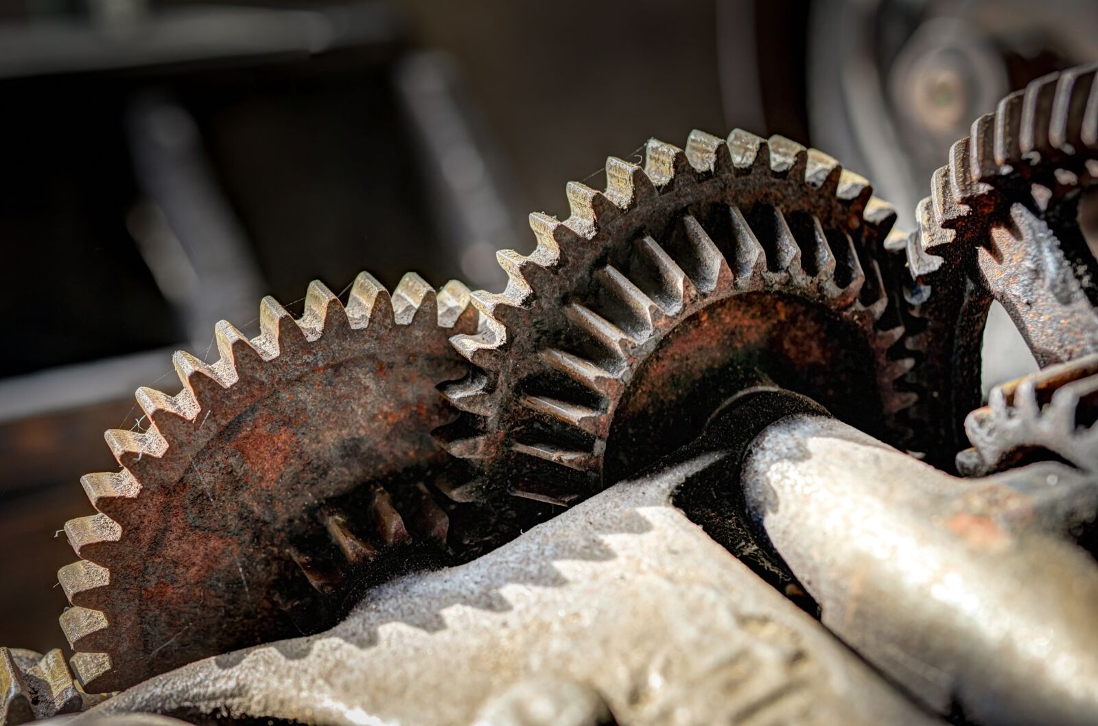 Nikon D610 sample photo. Cogwheel, cog, hdr photography