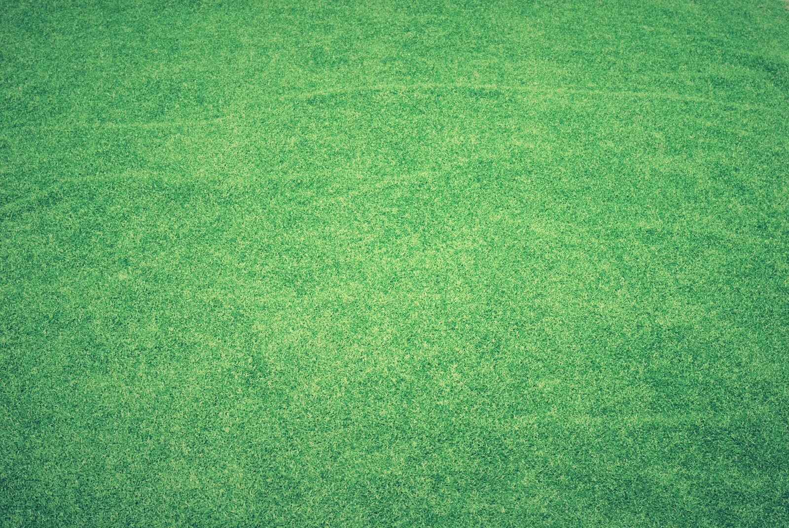 Nikon D80 sample photo. Tennis court, lawn, grass photography