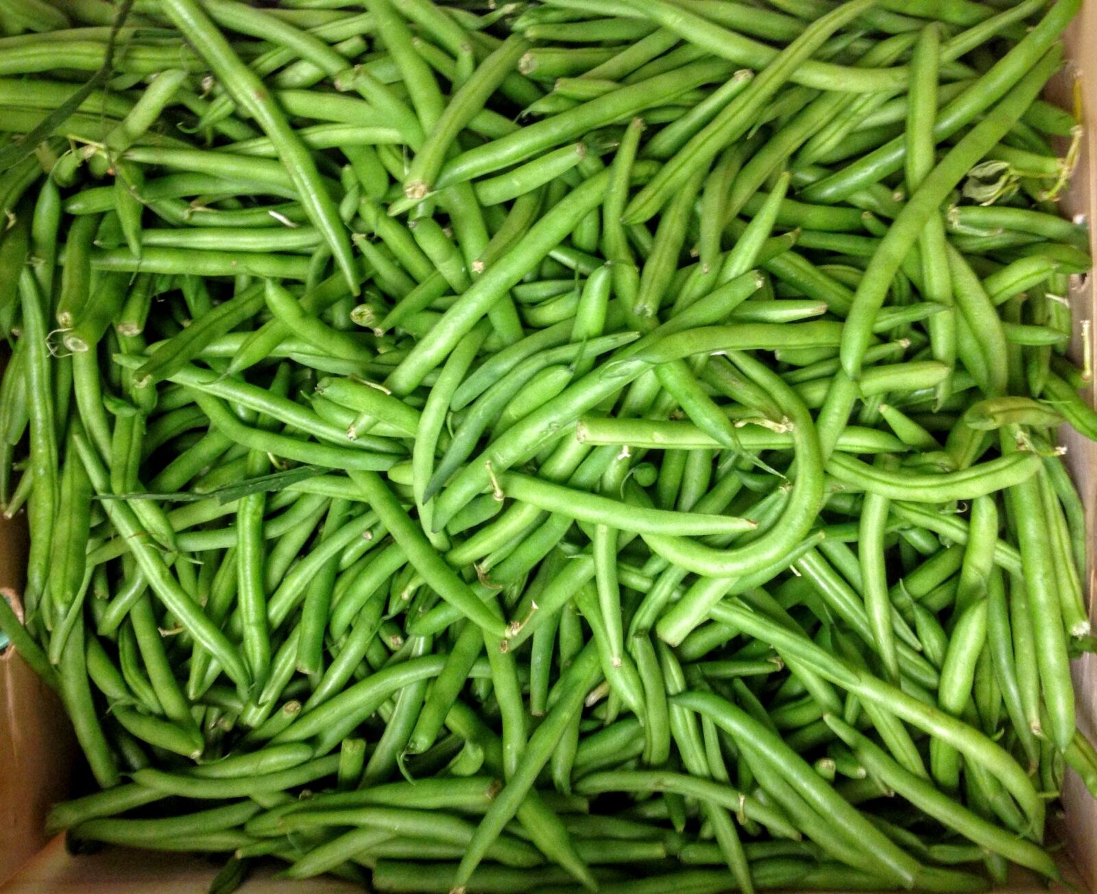 iPhone 5 back camera 4.12mm f/2.4 sample photo. Bean, green bean, food photography