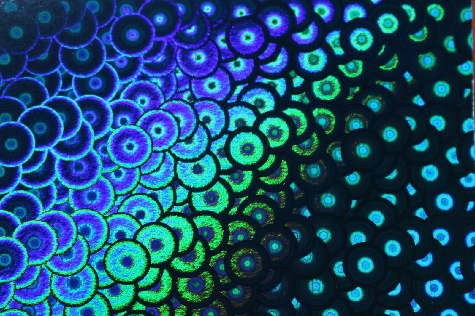 Canon EOS 100D (EOS Rebel SL1 / EOS Kiss X7) sample photo. Handicraft paper, iridescent, photo photography
