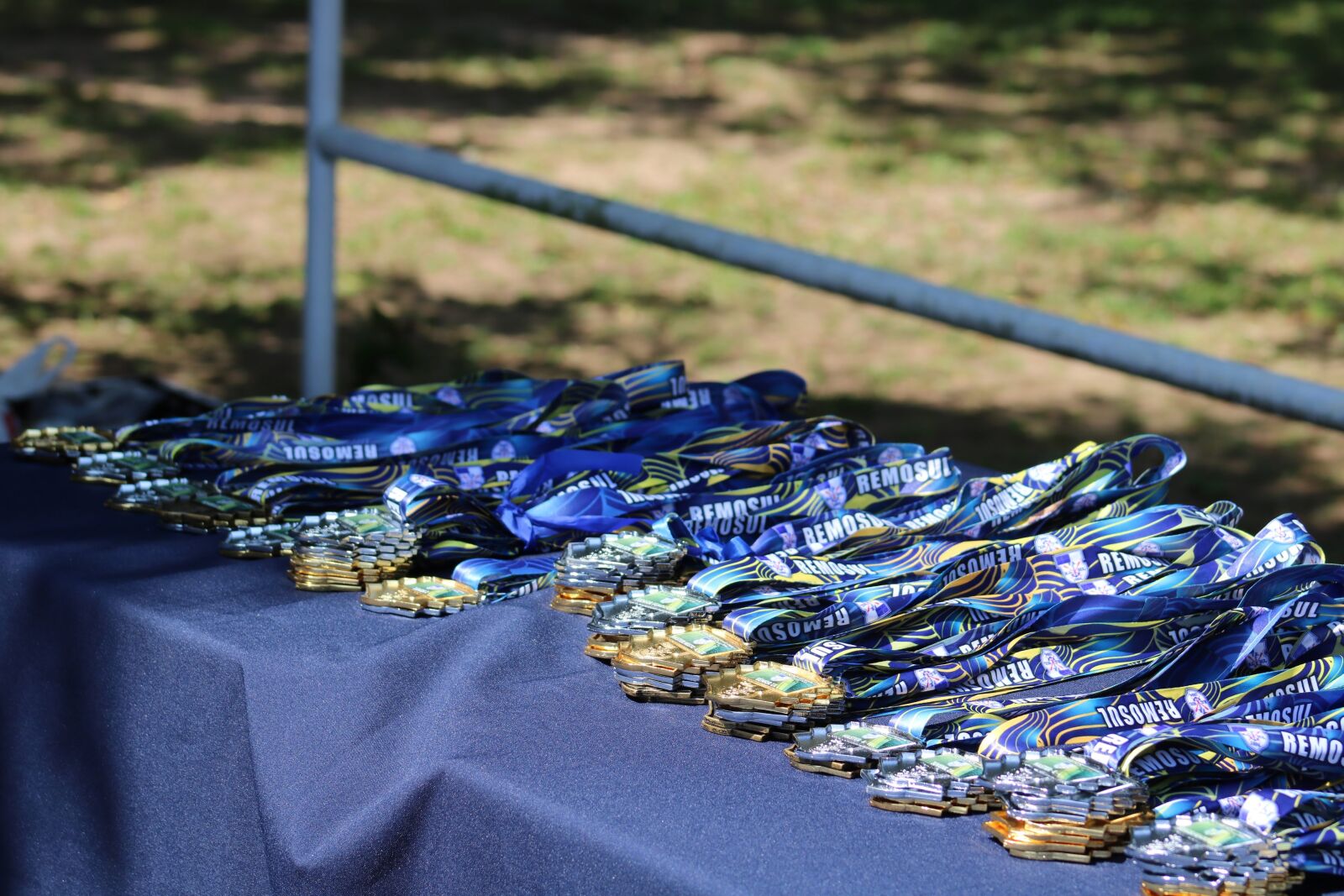 Canon EOS 750D (EOS Rebel T6i / EOS Kiss X8i) + Canon EF75-300mm f/4-5.6 sample photo. Medals, table, awards photography