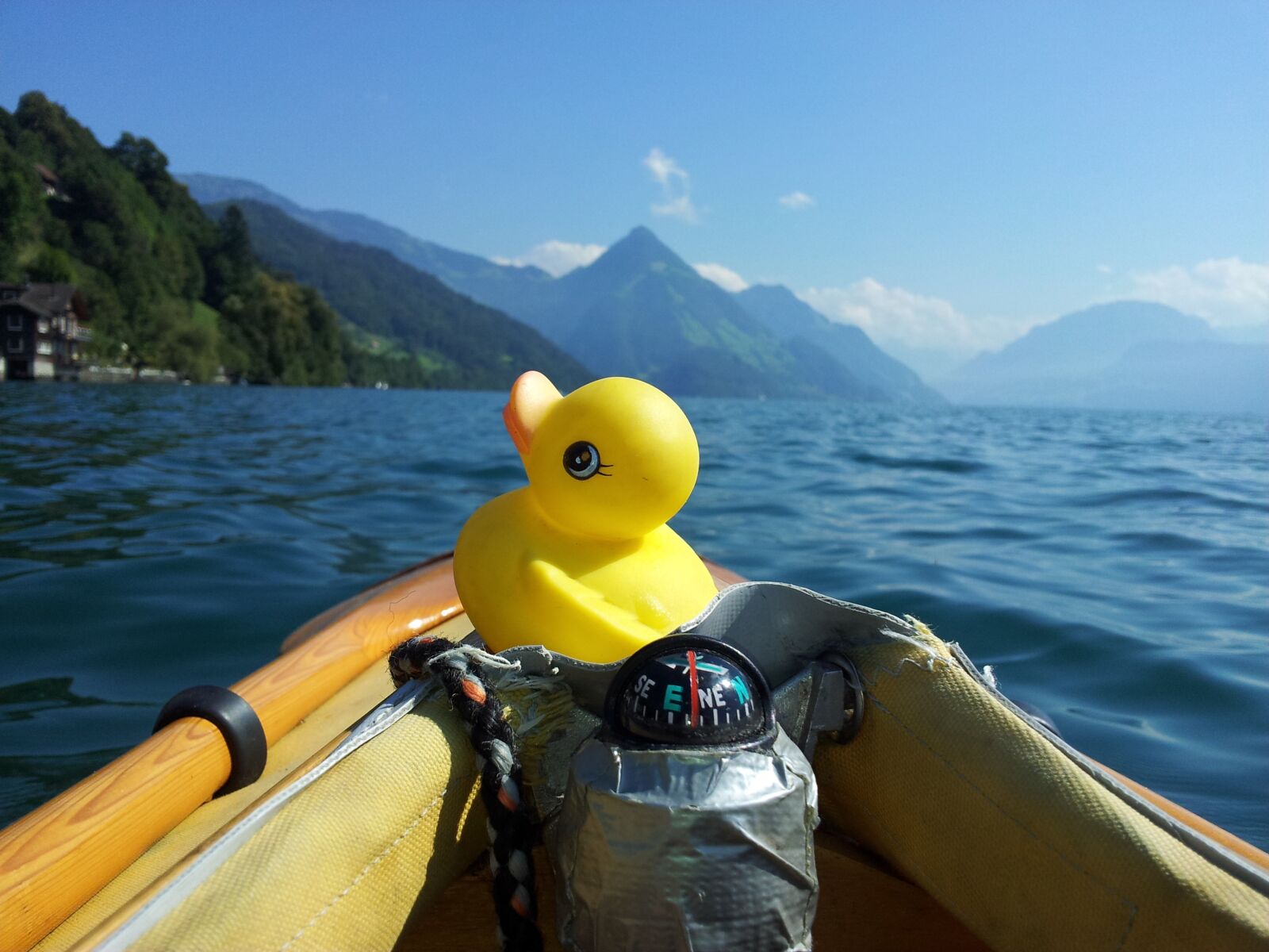 Samsung Galaxy S2 sample photo. Duck, bath duck, rubber photography
