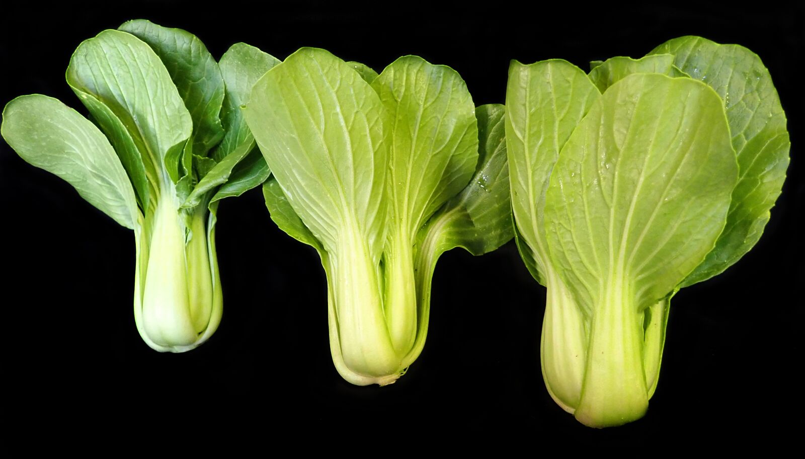 Olympus TG-5 sample photo. Vegetables, asian greens, healthy photography