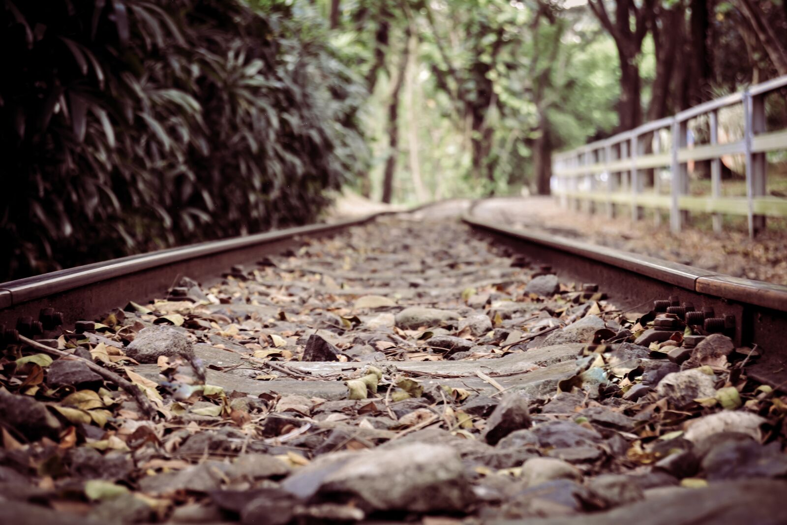 Nikon D5200 sample photo. Railroad, road, rail photography