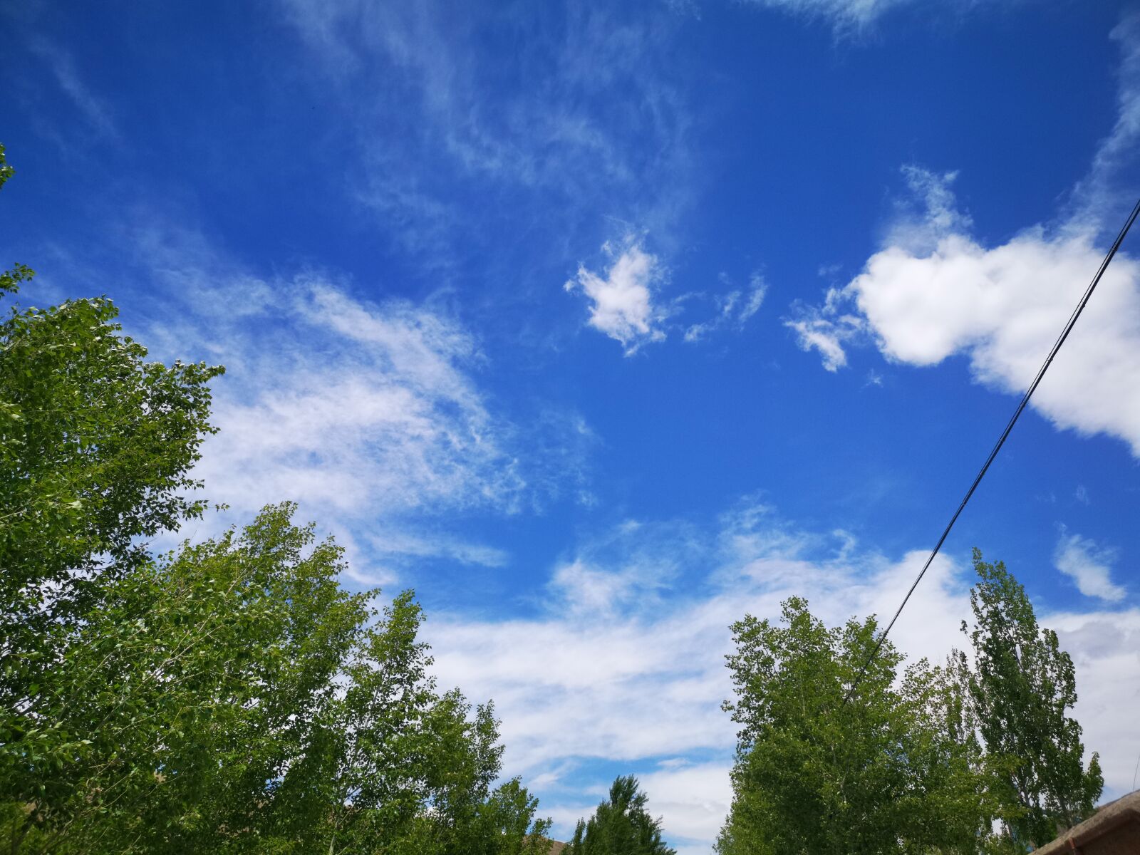 HUAWEI Mate 20 Pro sample photo. Blue sky, big trees photography