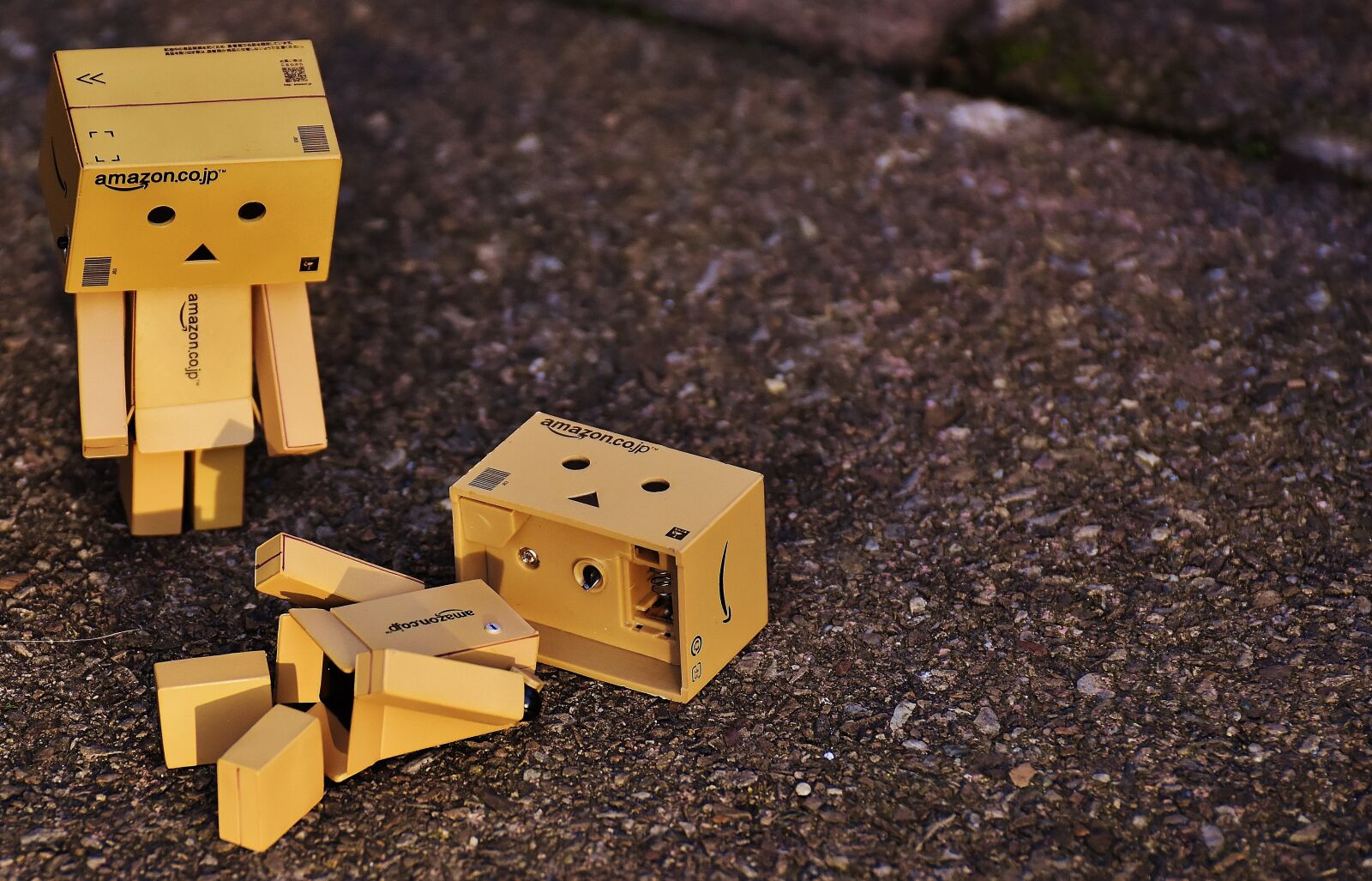 Nikon D7200 sample photo. Danbo, sad, figure photography