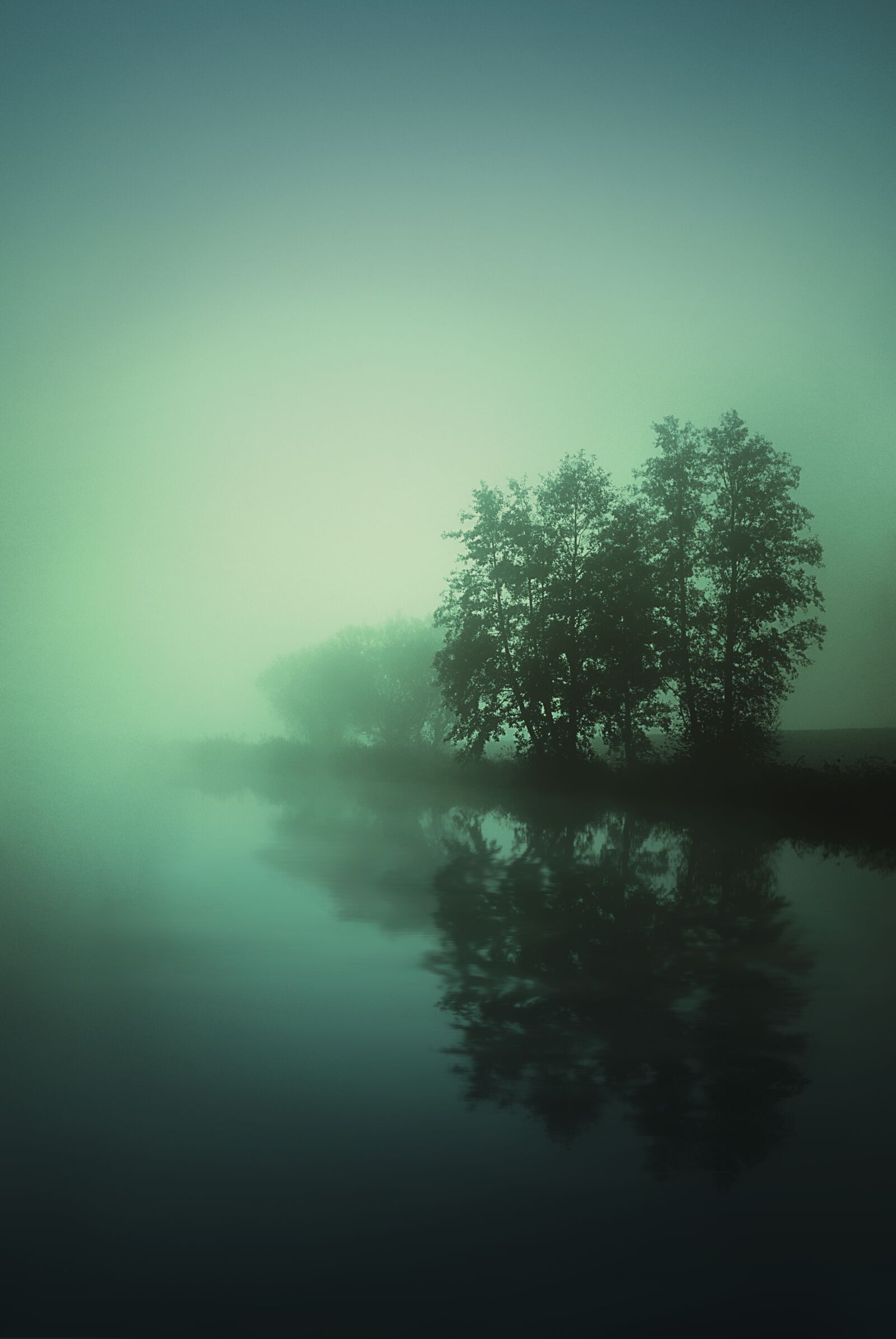 Nikon D3000 sample photo. Fog, lake, water photography