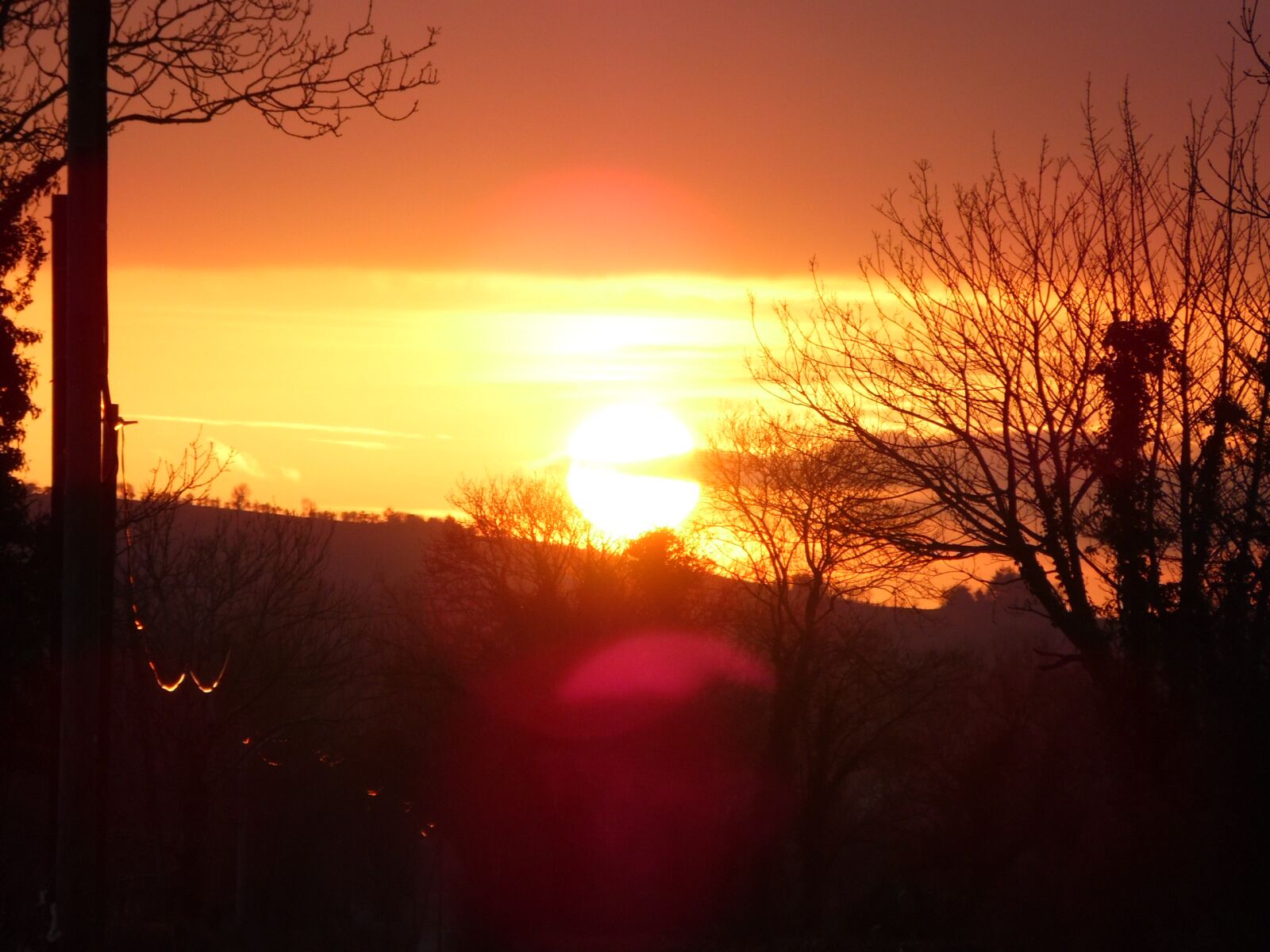 Samsung WB100/  WB101 sample photo. Withered, trees, at, dawn photography