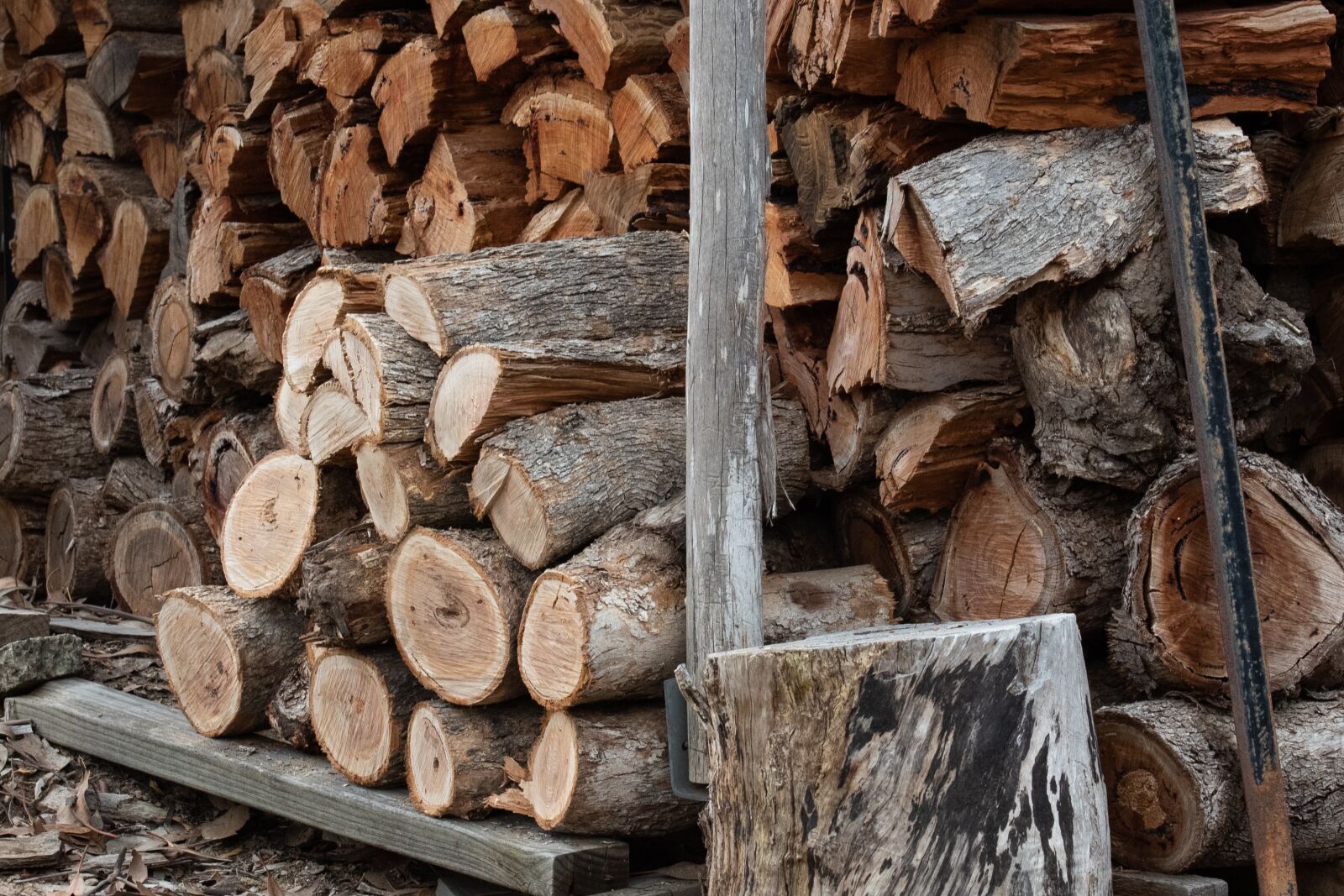 Nikon D750 sample photo. Wood, wood pile, firewood photography