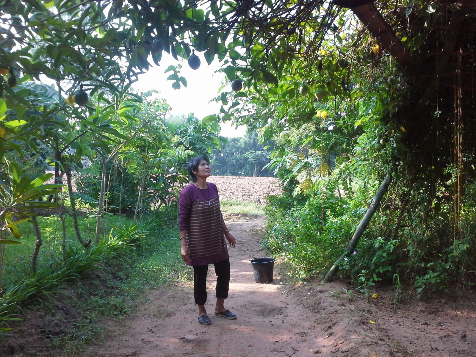 Samsung Galaxy Note 10.1 sample photo