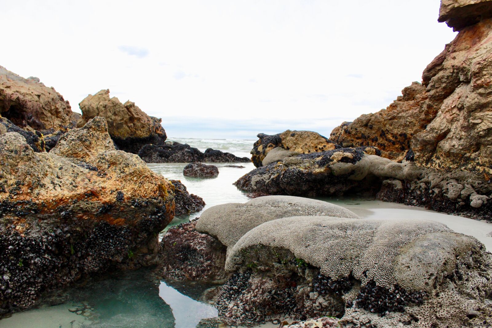 Canon EOS 1300D (EOS Rebel T6 / EOS Kiss X80) sample photo. Rocks, coral, ocean photography