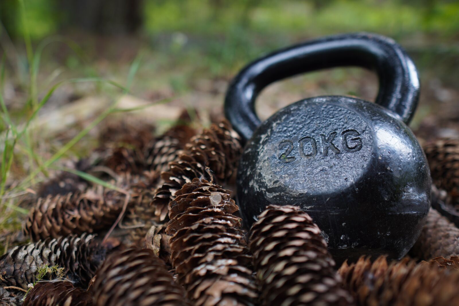Sony a6400 + Sigma 16mm F1.4 DC DN | C sample photo. Carnivore, kettlebell, trening photography