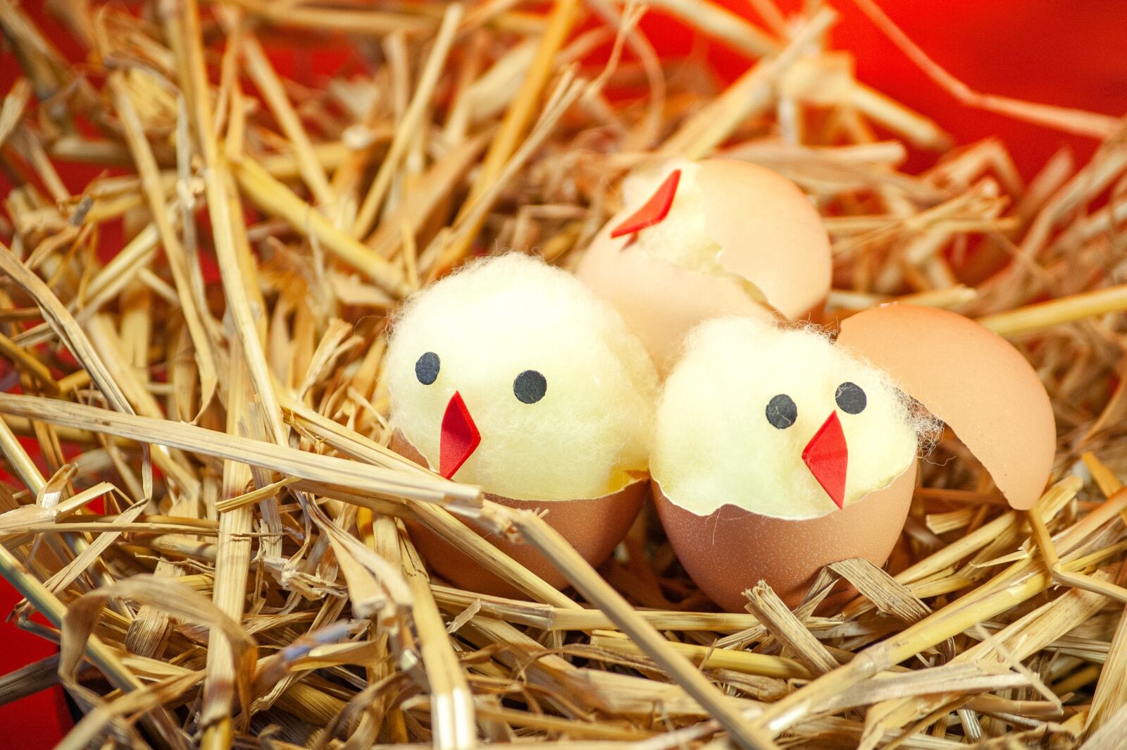 Nikon D50 sample photo. Easter, easter chick, nest photography
