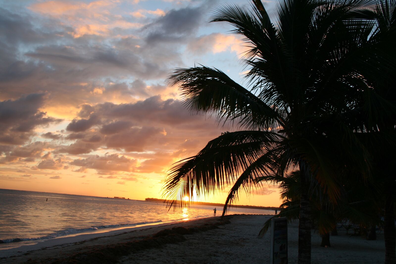 Canon EOS 350D (EOS Digital Rebel XT / EOS Kiss Digital N) sample photo. Summer, palm beach, caribbean photography