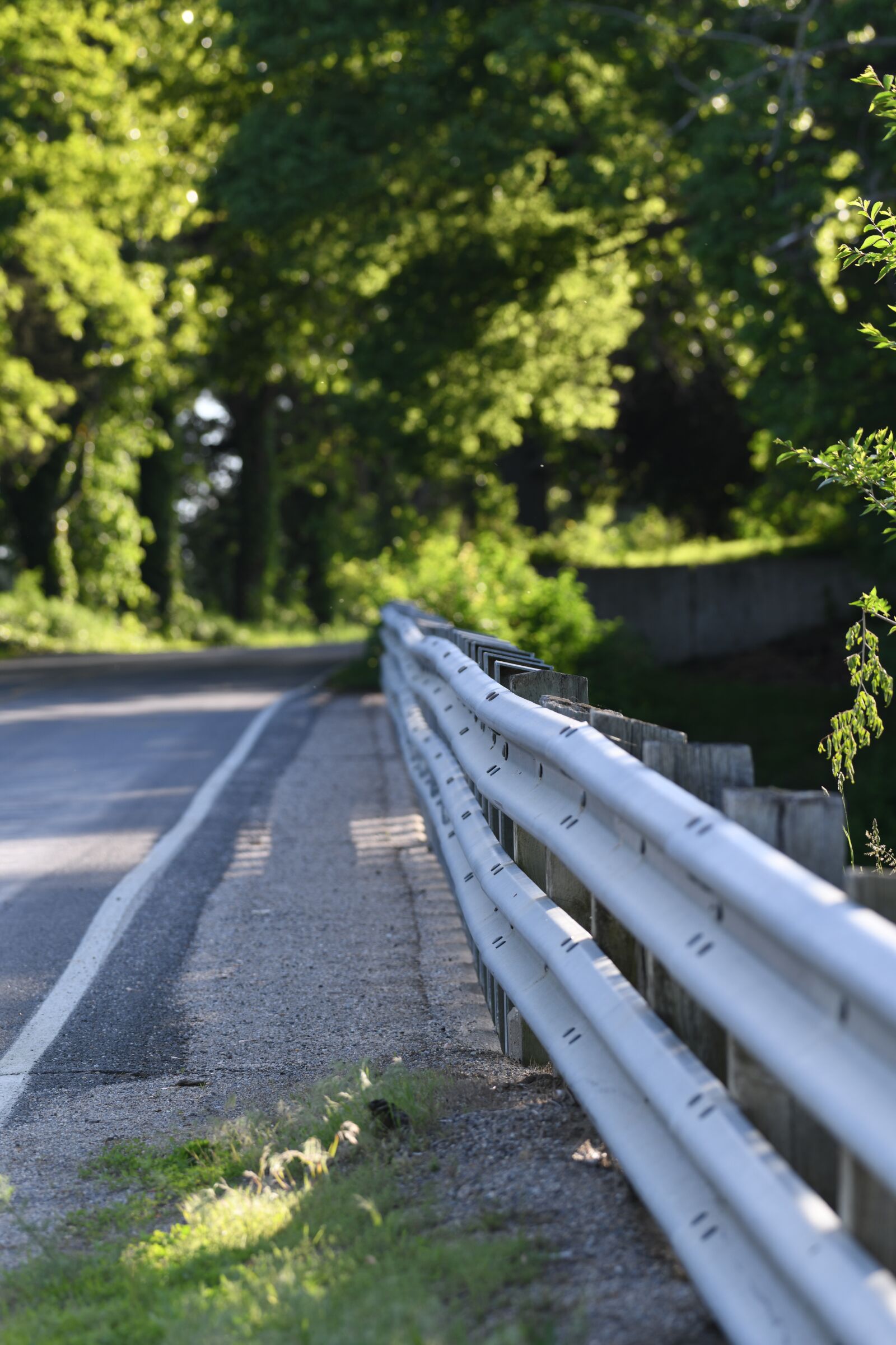 Nikon D850 sample photo. Bridge, road, straight photography