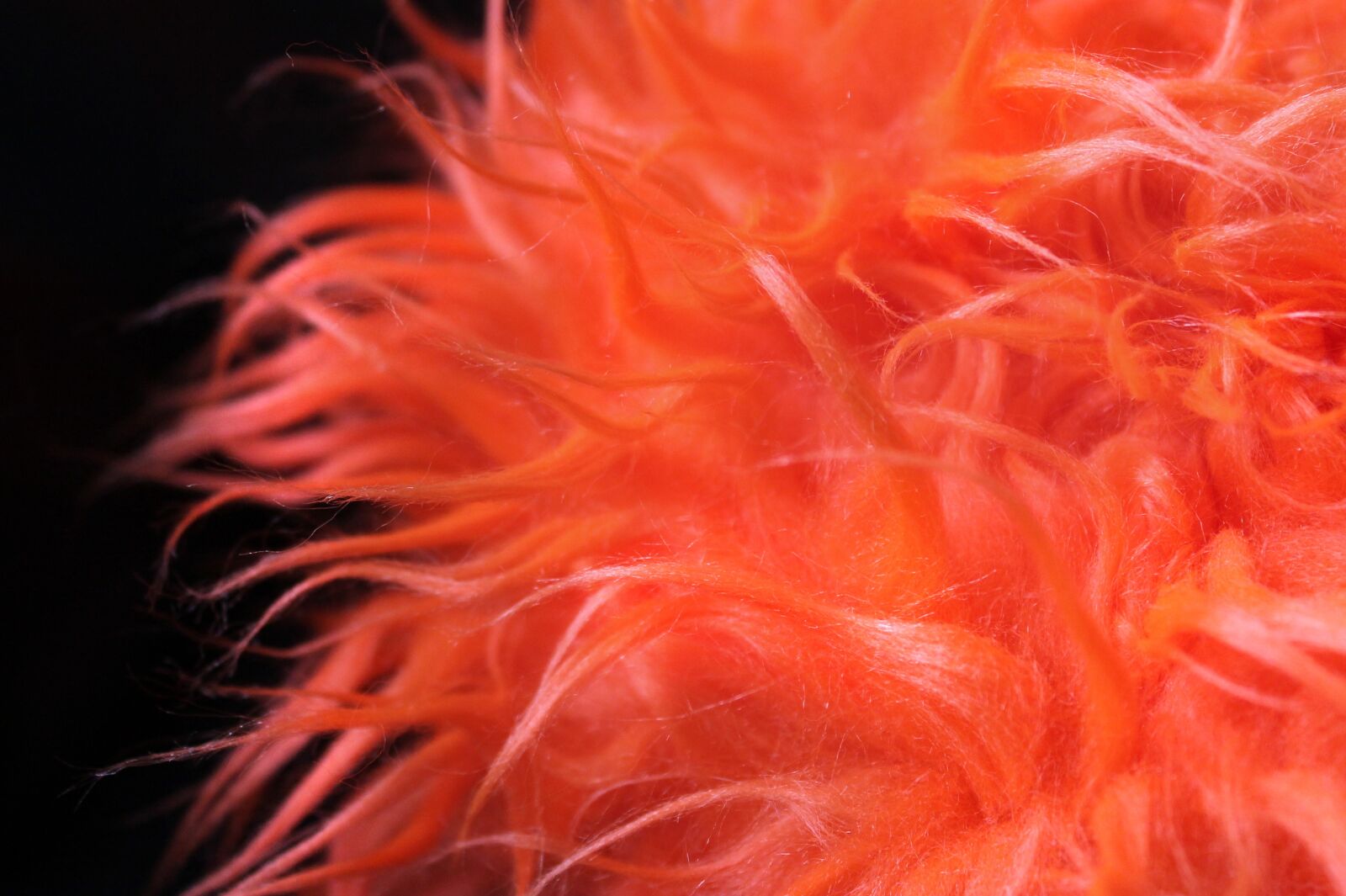 Canon EOS 1100D (EOS Rebel T3 / EOS Kiss X50) sample photo. Fur, hair, hairy photography