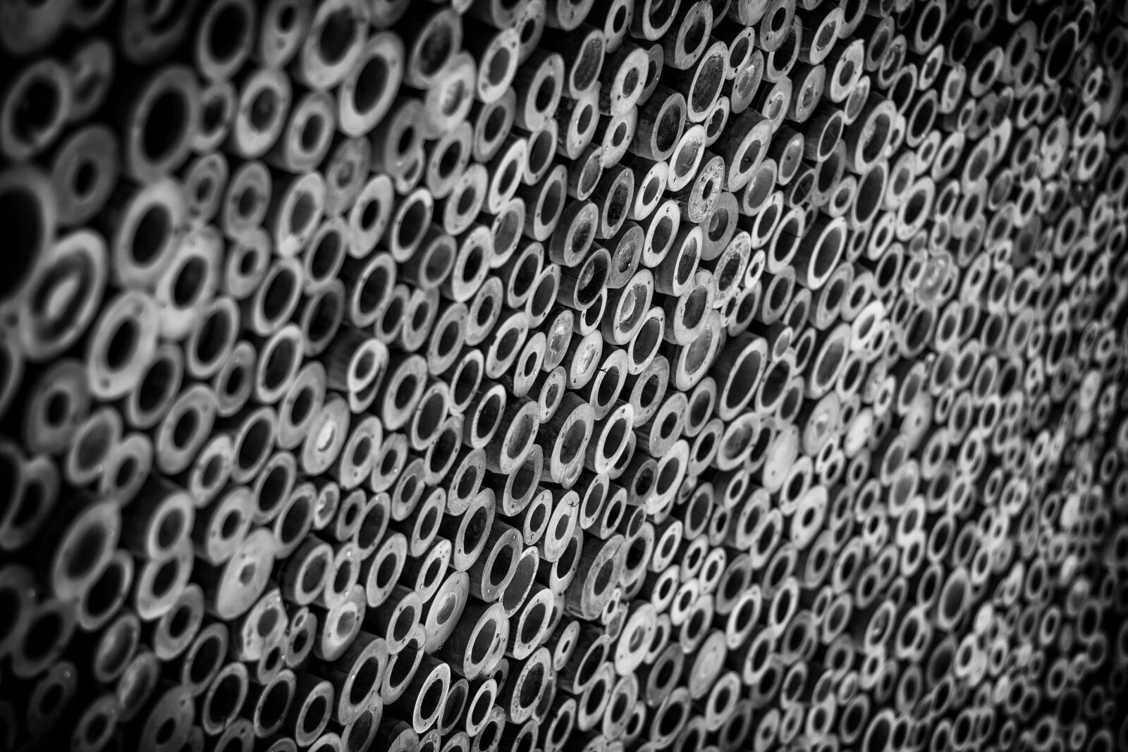 Nikon D5200 + Nikon AF-S Nikkor 50mm F1.8G sample photo. Abstract, art, background, bamboo photography