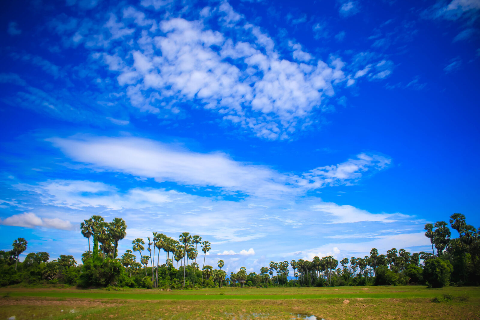 Canon EOS 1200D (EOS Rebel T5 / EOS Kiss X70 / EOS Hi) sample photo. Cambodia, rural, kid, farmer photography