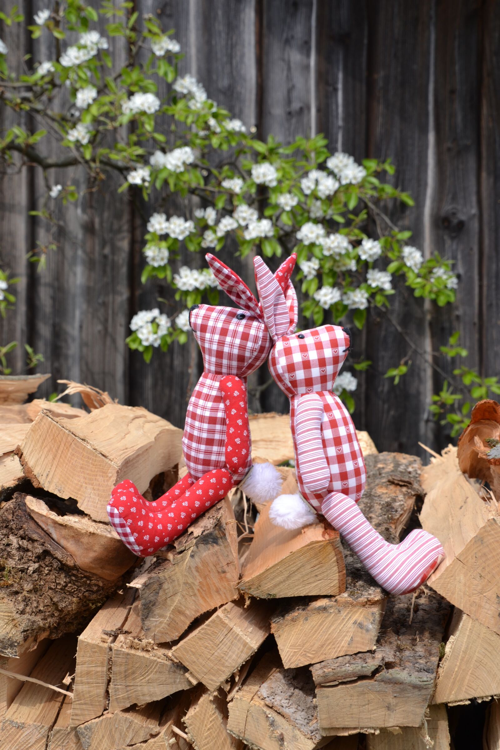 Nikon D3100 sample photo. Rabbit ears, easter bunny photography