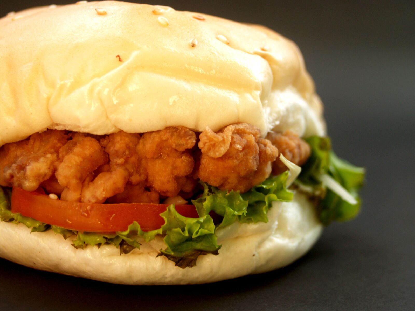 Olympus E-300 (EVOLT E-300) sample photo. Hamburger, burger, bun photography