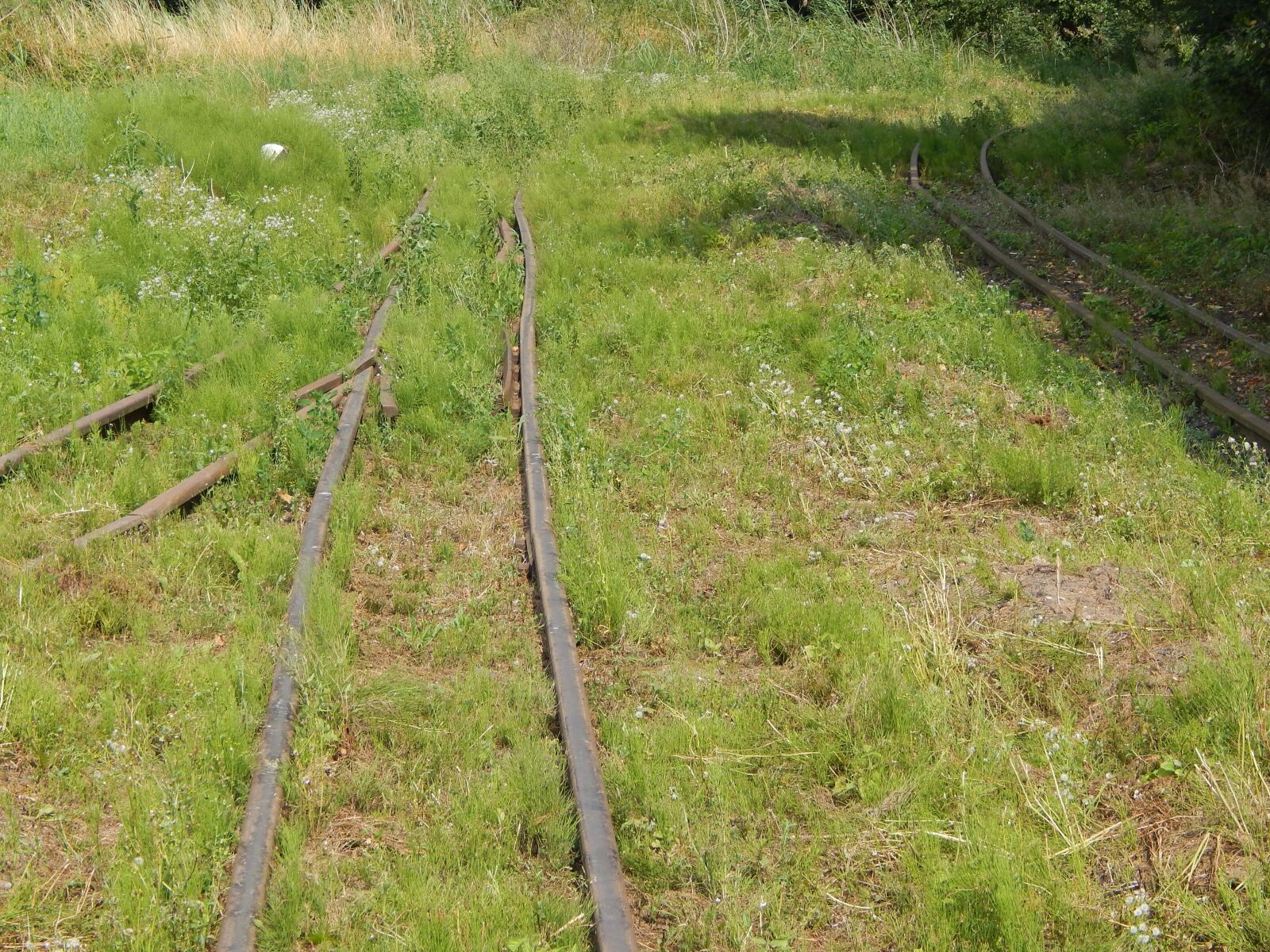 Nikon Coolpix L820 sample photo. Narrow-gauge railway, tracks, rails photography