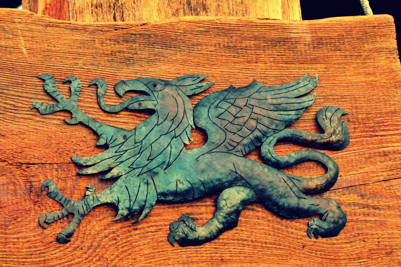 Nikon D5100 sample photo. Coat of arms, knight photography