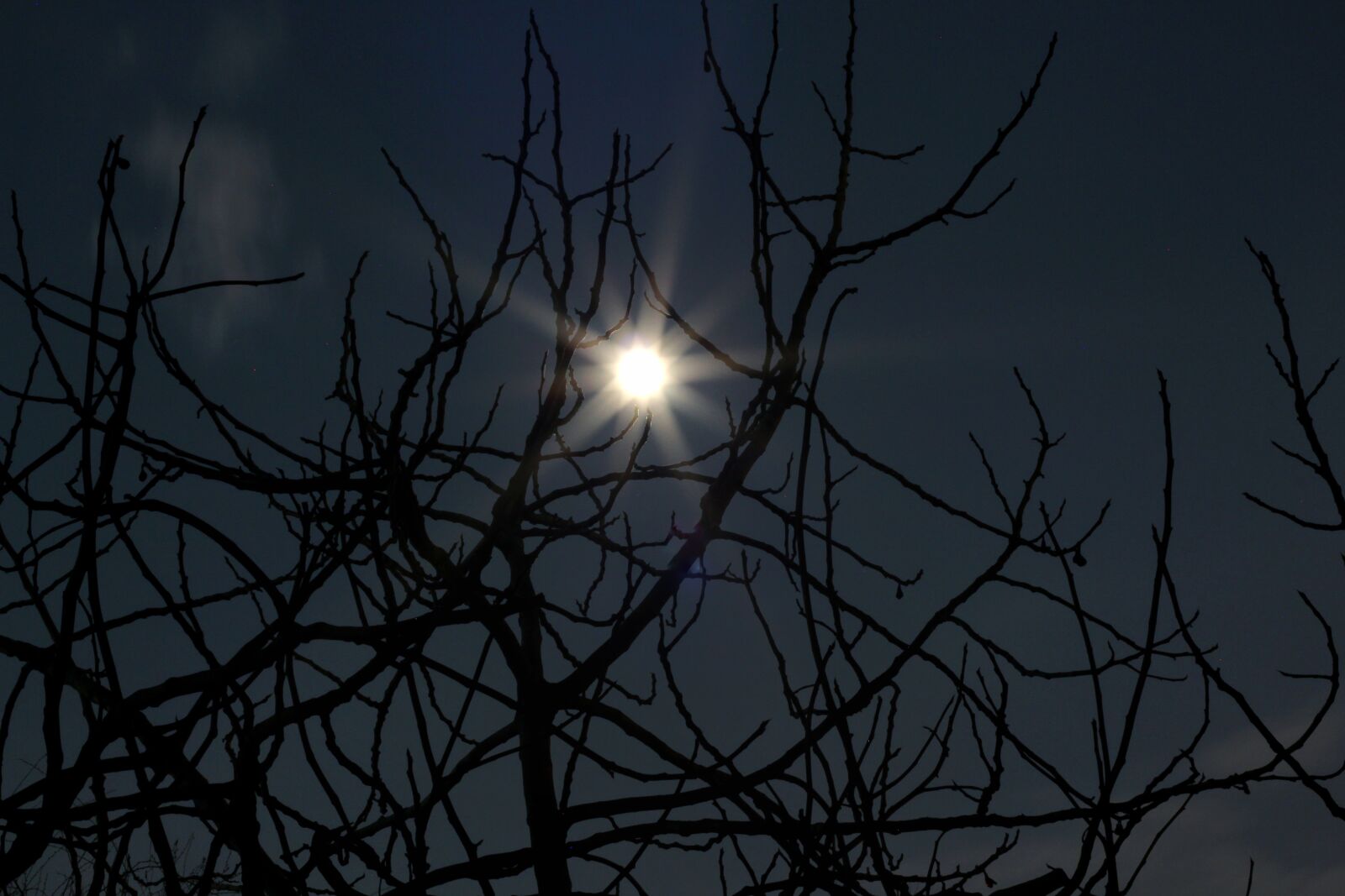 Canon EOS 650D (EOS Rebel T4i / EOS Kiss X6i) + Canon EF 50mm F1.8 II sample photo. Moon, fear, halloween photography