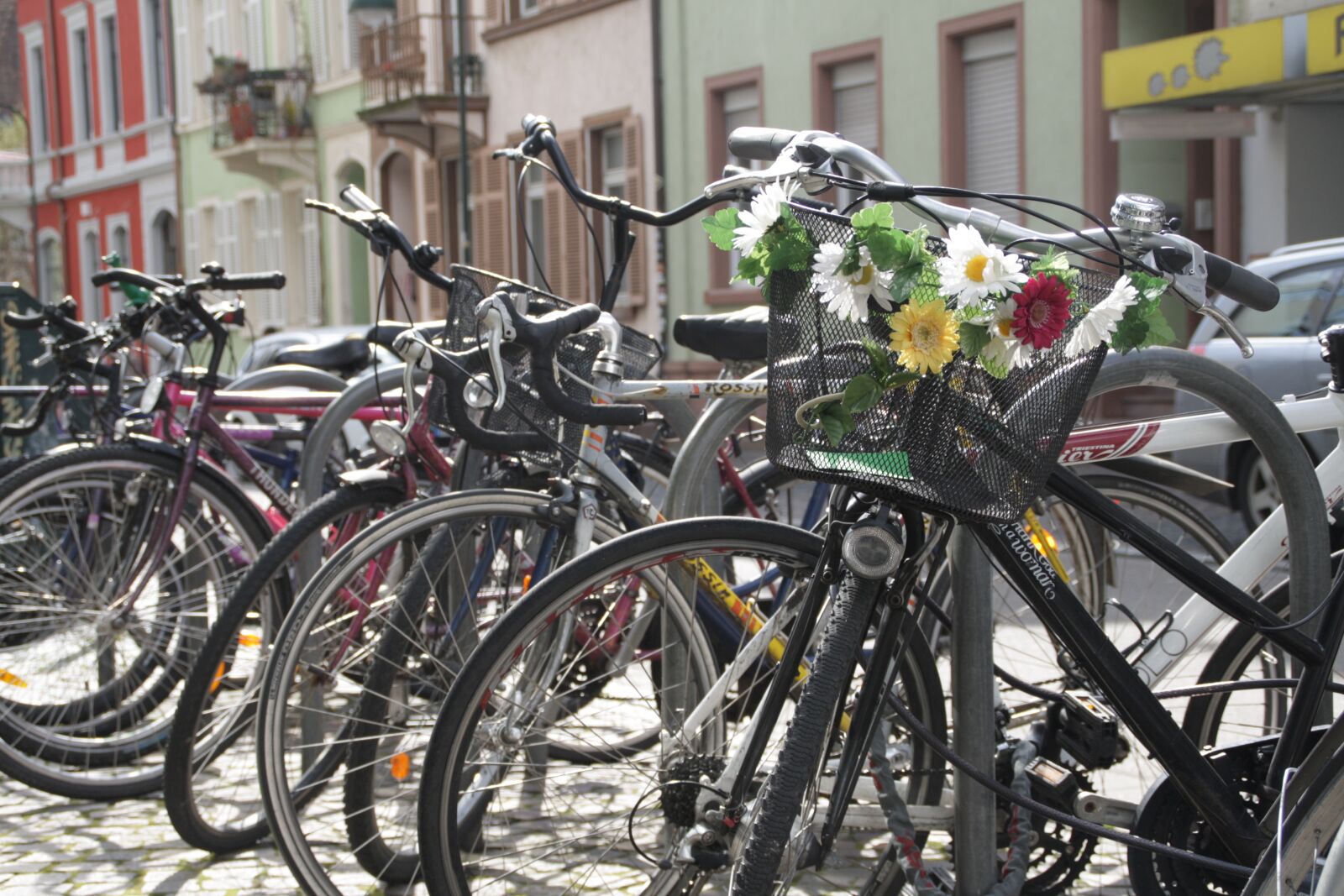 Canon EOS 1000D (EOS Digital Rebel XS / EOS Kiss F) sample photo. Bicycle, flowers, vintage photography