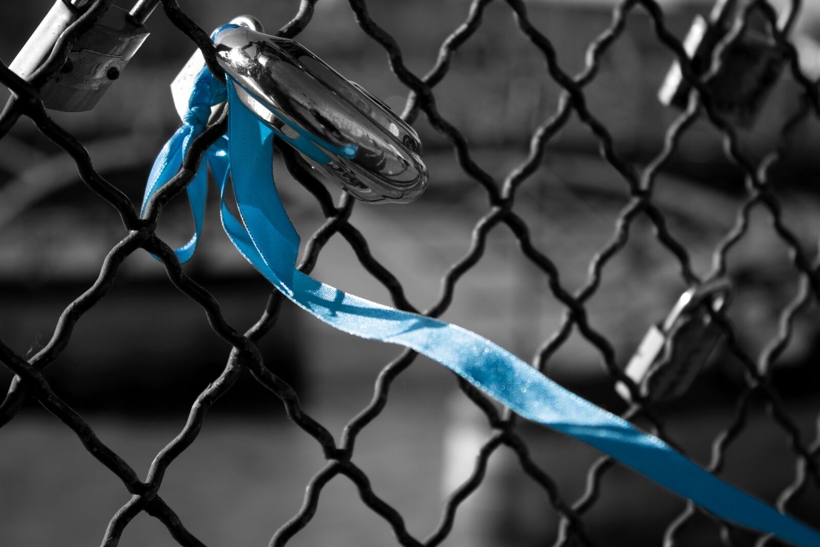 Canon EOS 1100D (EOS Rebel T3 / EOS Kiss X50) sample photo. Padlock, paris, pont des photography