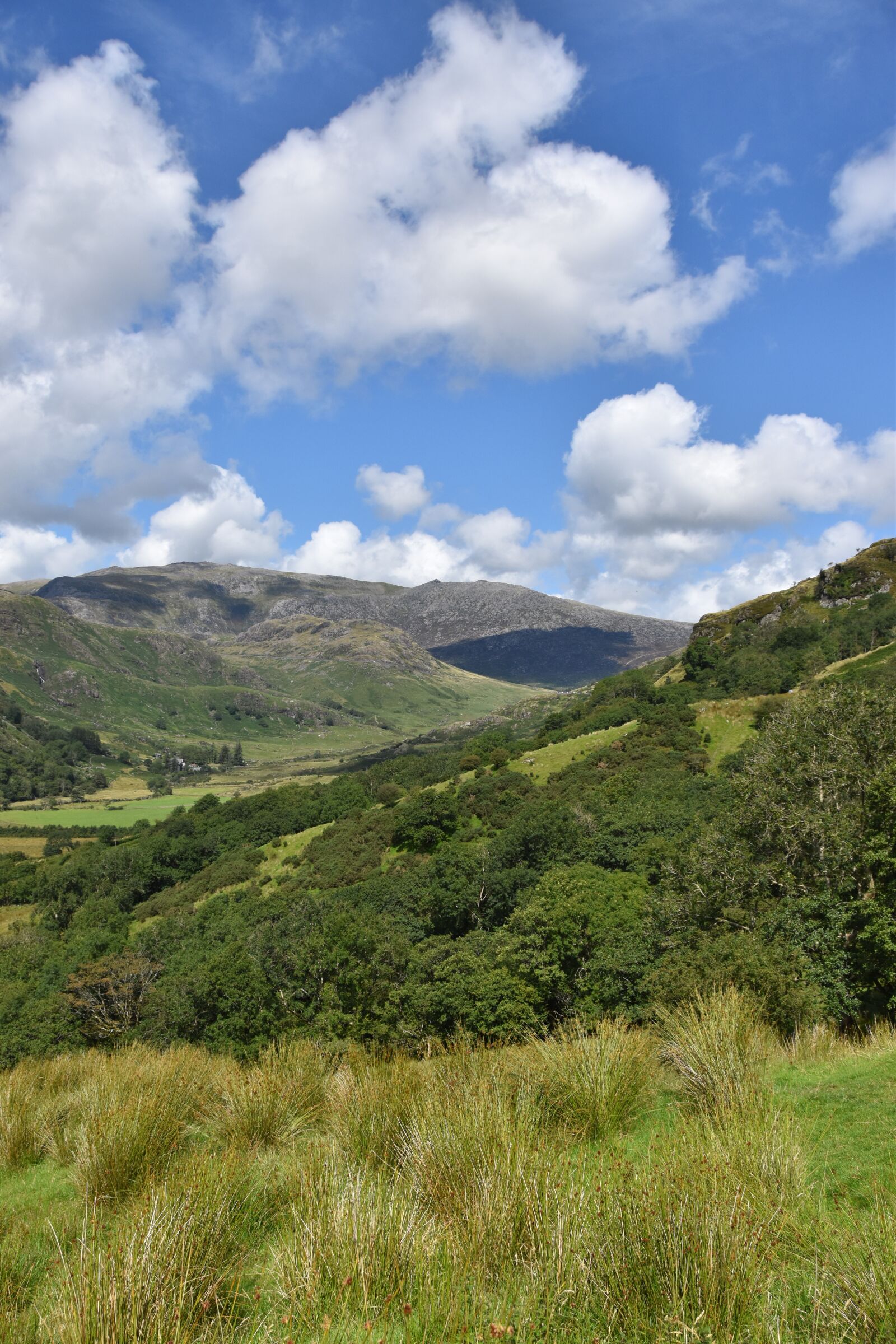 Nikon D5600 sample photo. Snowdonia, mountain, wales photography
