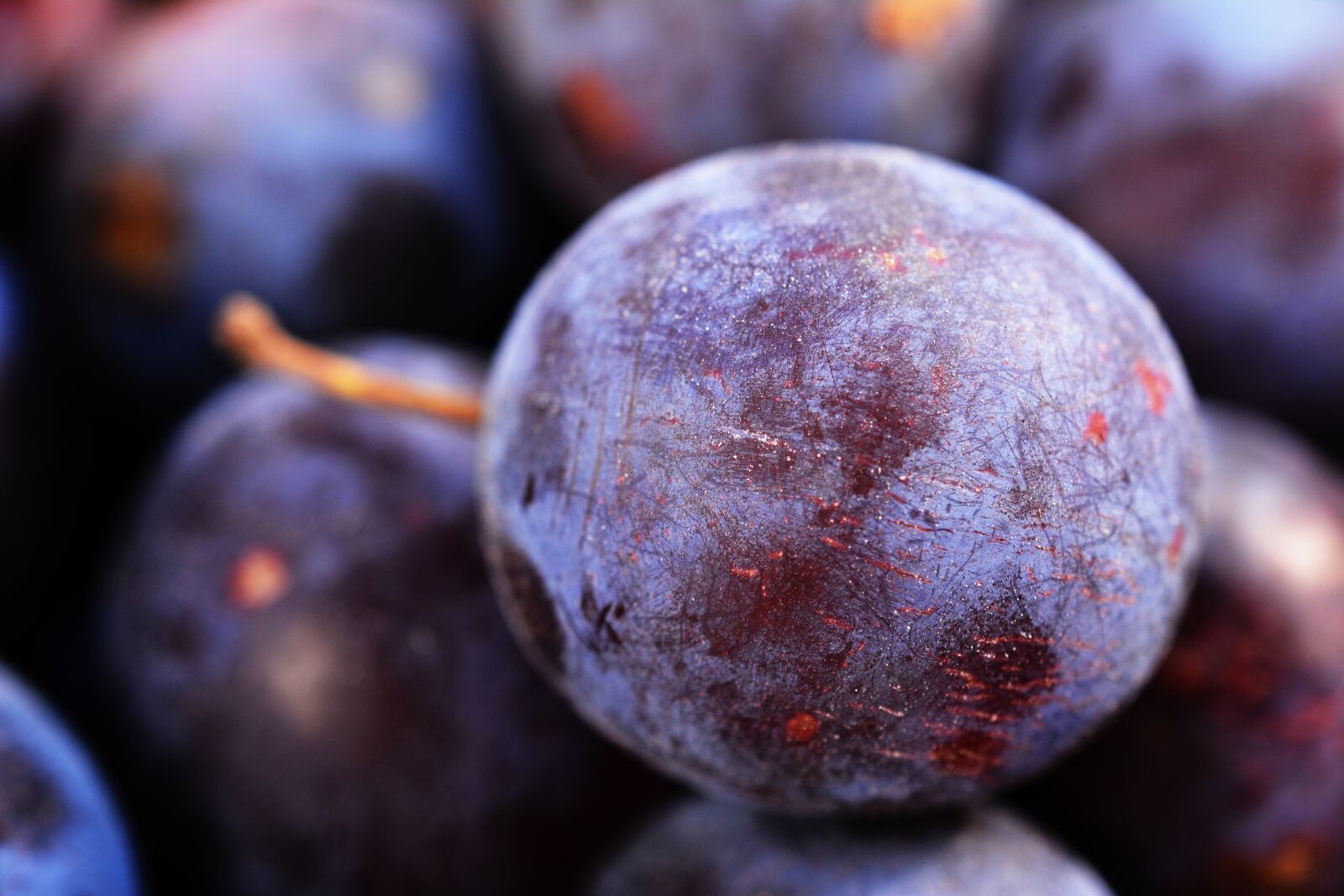 Nikon D5200 sample photo. Plums, detail, plum photography