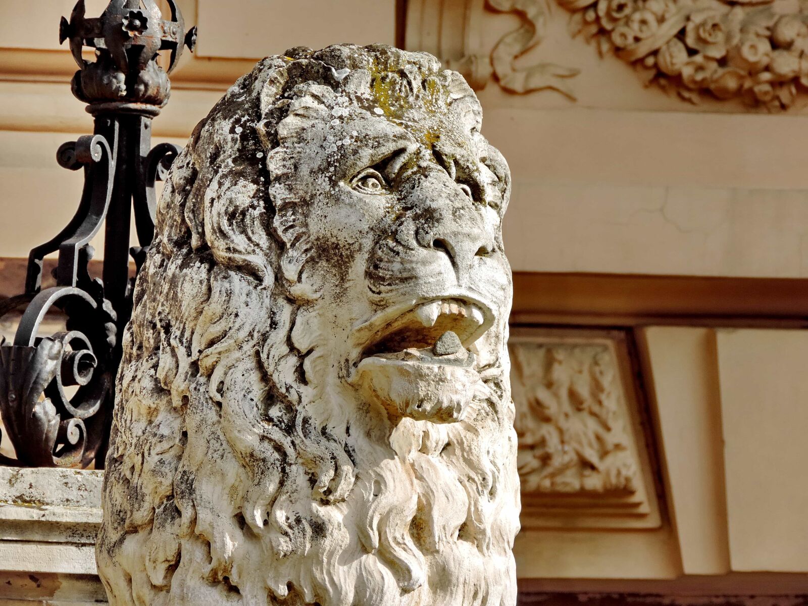 Nikon Coolpix P520 sample photo. Head, lion, marble, portrait photography